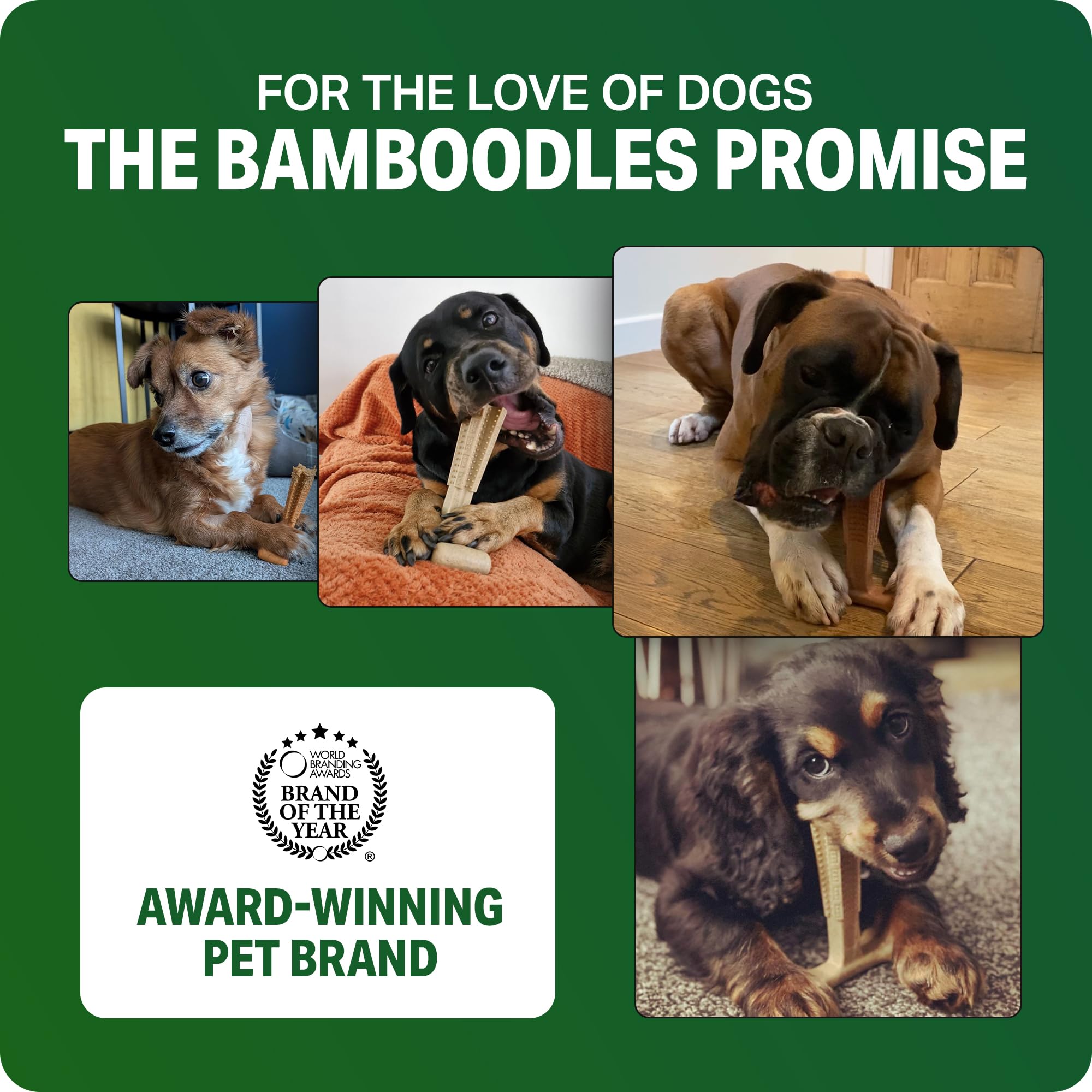 Bamboodles T-Bone Dog Chew Toy - Medium Size | Cheese Flavor | Heavy Duty 7