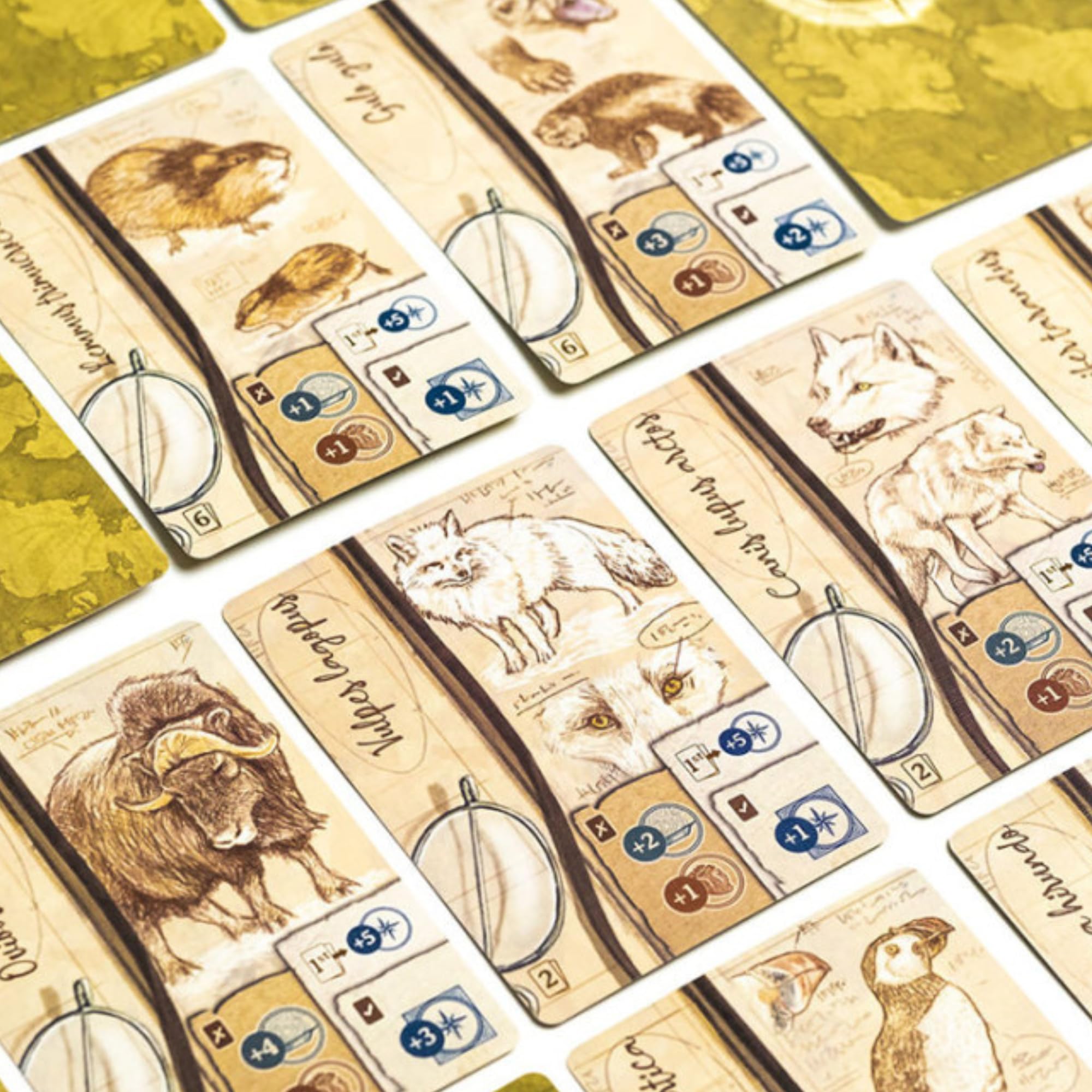 2Tomatoes Games Through Ice and Snow Arktis-Erkundungsbrettspiel 4