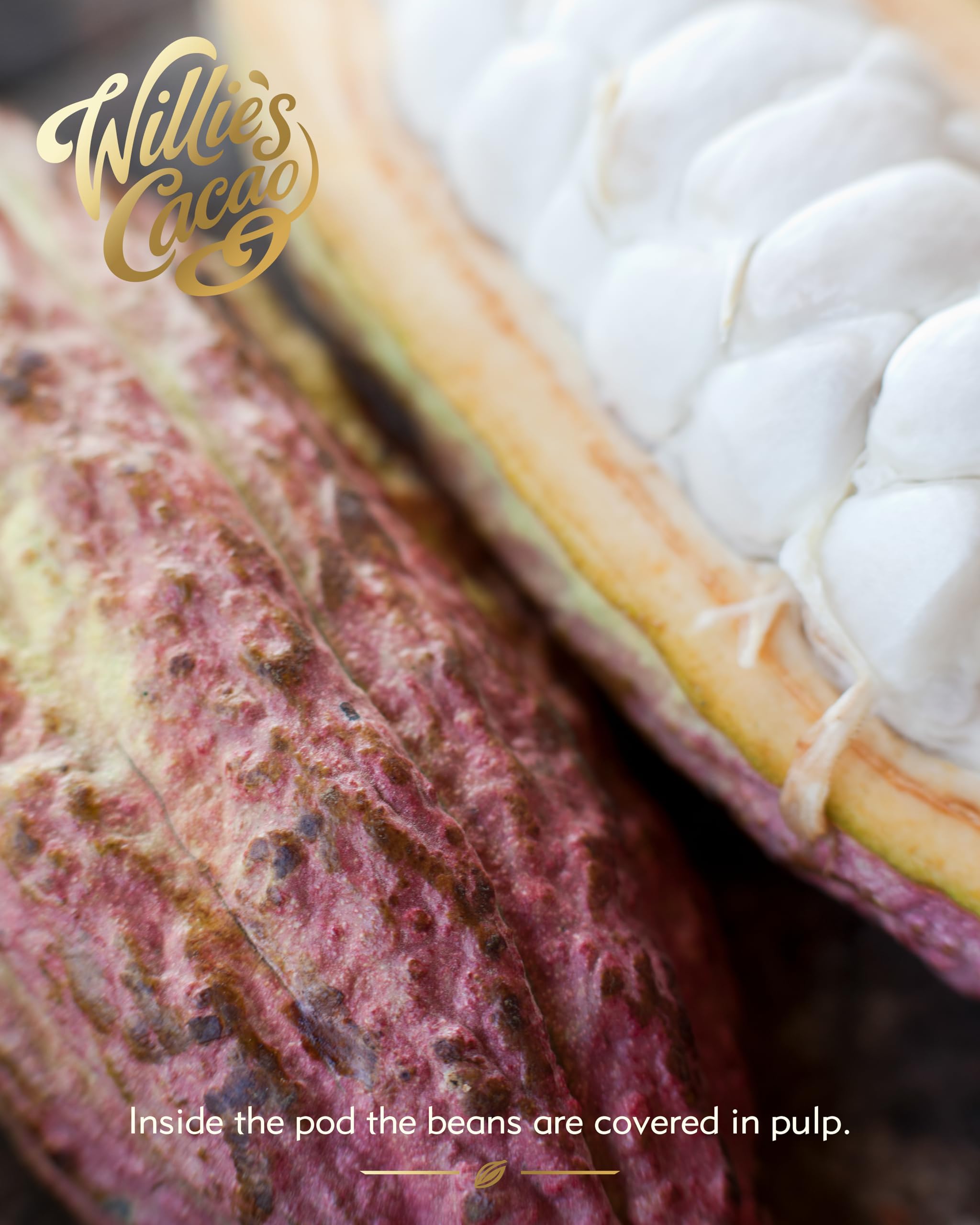 Willie’s Cacao - Dark Chocolate Salted Caramel Pearls 150g – Gift Box of 20 Individually Wrapped Pearls with Molten Sea Salt Caramel 2