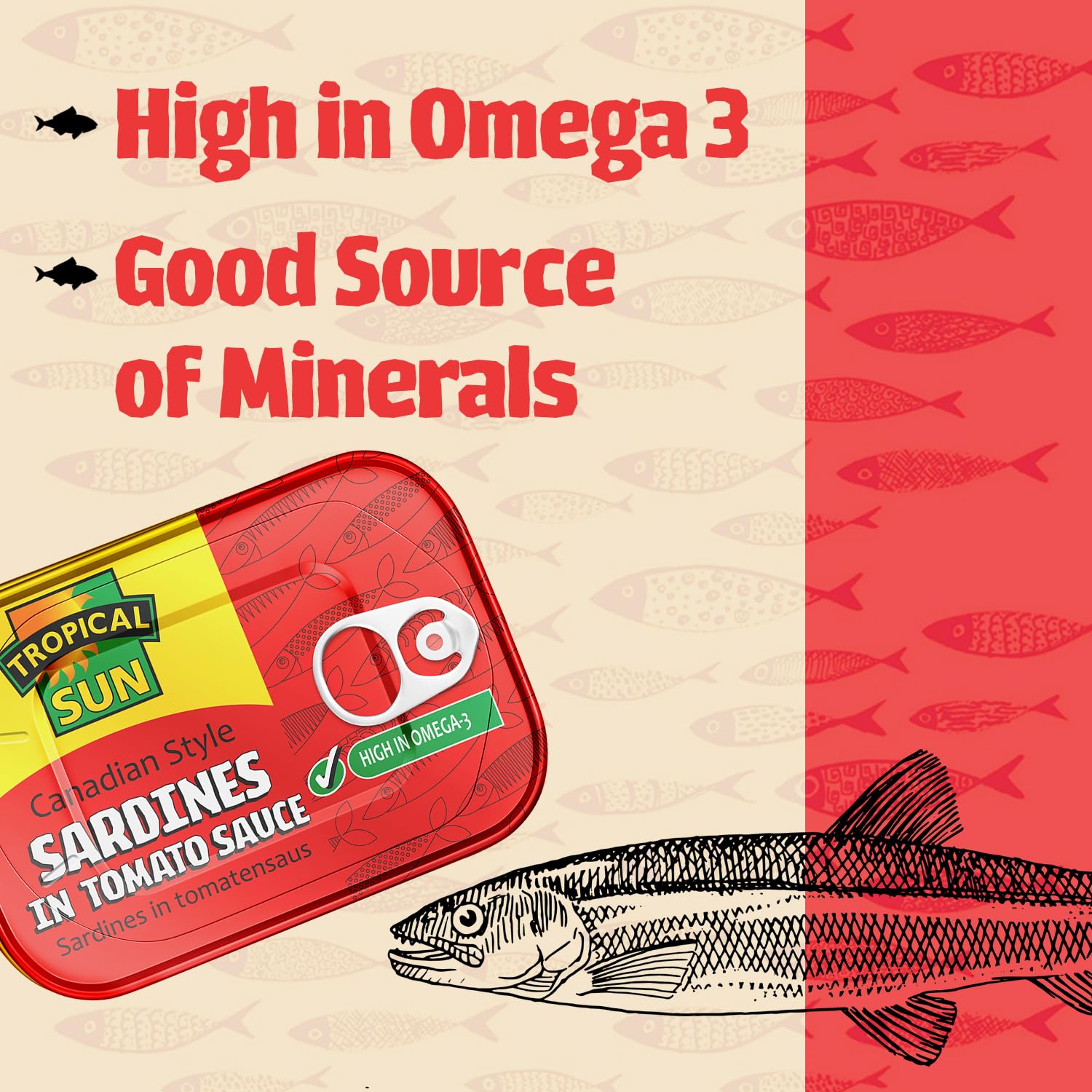 Tropical Sun Canadian-Style Sardines in Tomato Sauce, 106g (Pack of 12) 2