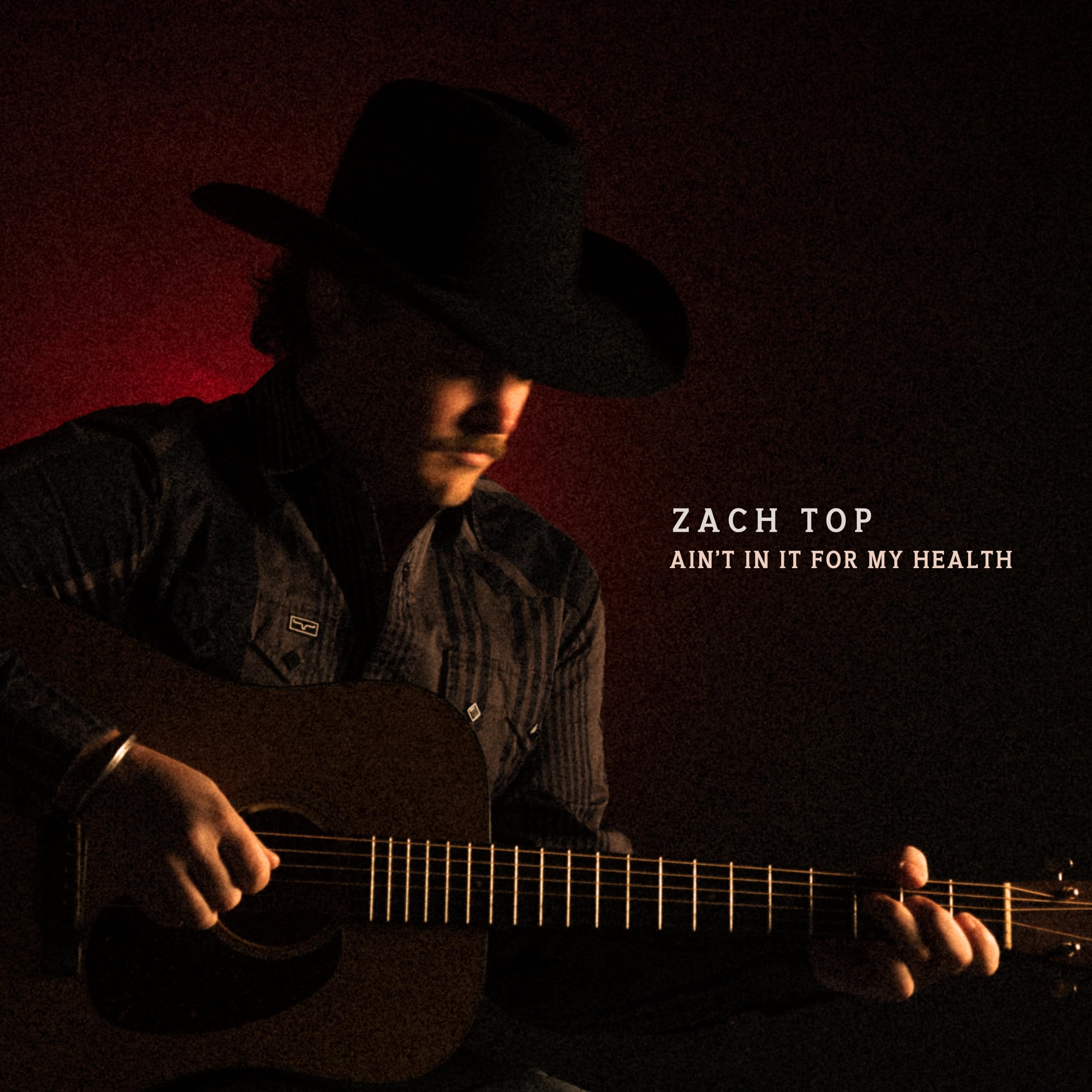 Zach Top - Ain't In It For My Health [Audio CD]