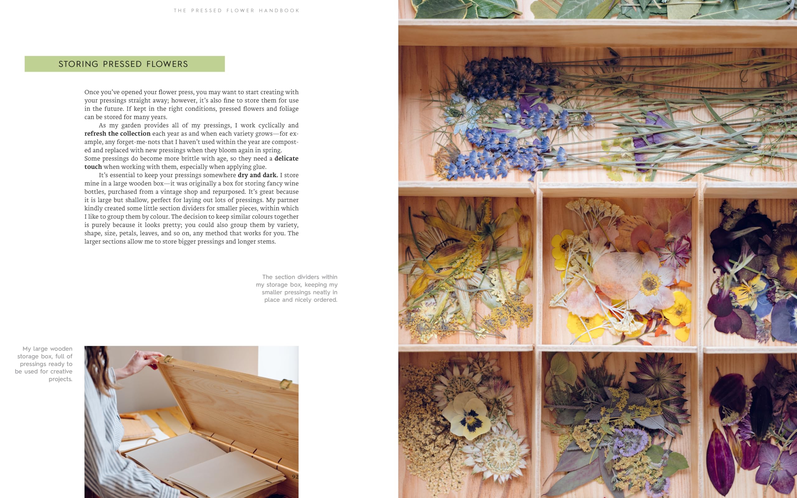 Quarry Books The Pressed Flower Handbook - Connecting with Nature Through Floral Crafts 8