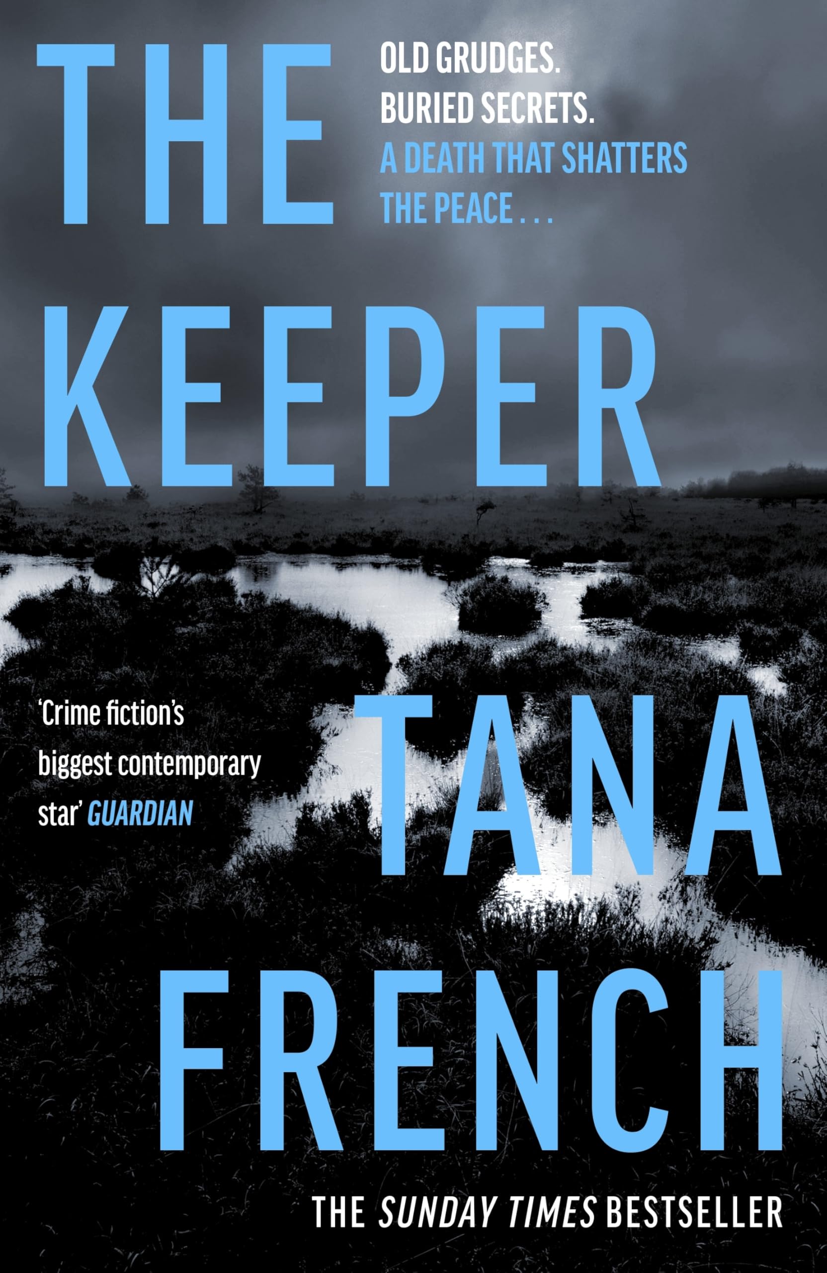 The Keeper by Tana French - New Mystery Novel 1