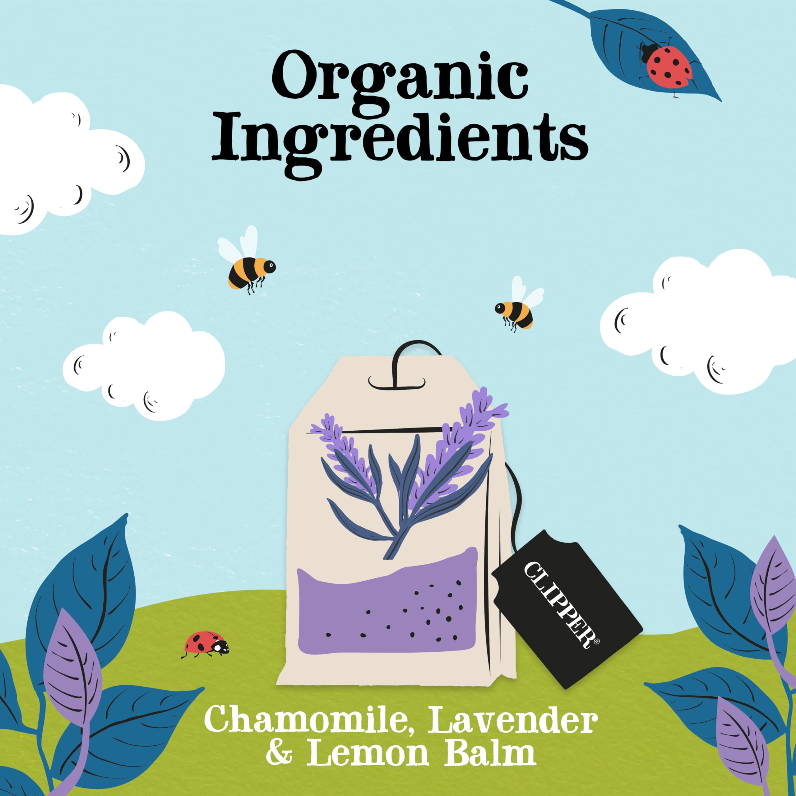 Clipper Natural, Fair & Delicious Sleep Time Infusion Tea Bags - 50 Count | Organic Chamomile & Lavender 3