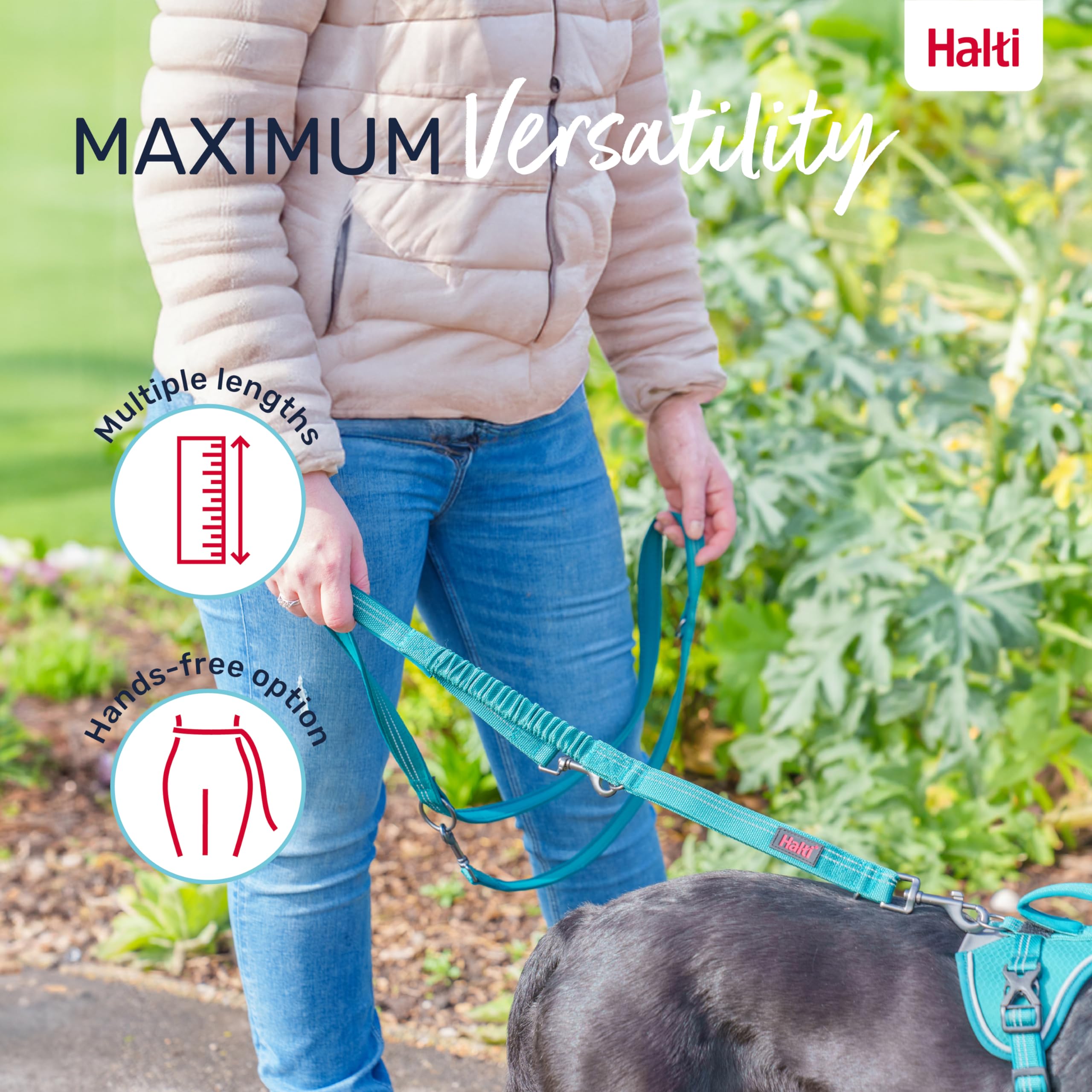 Halti Anatomy Multifunctional Dog Lead - Shock Absorbing Bungee | Size L, Magenta 5