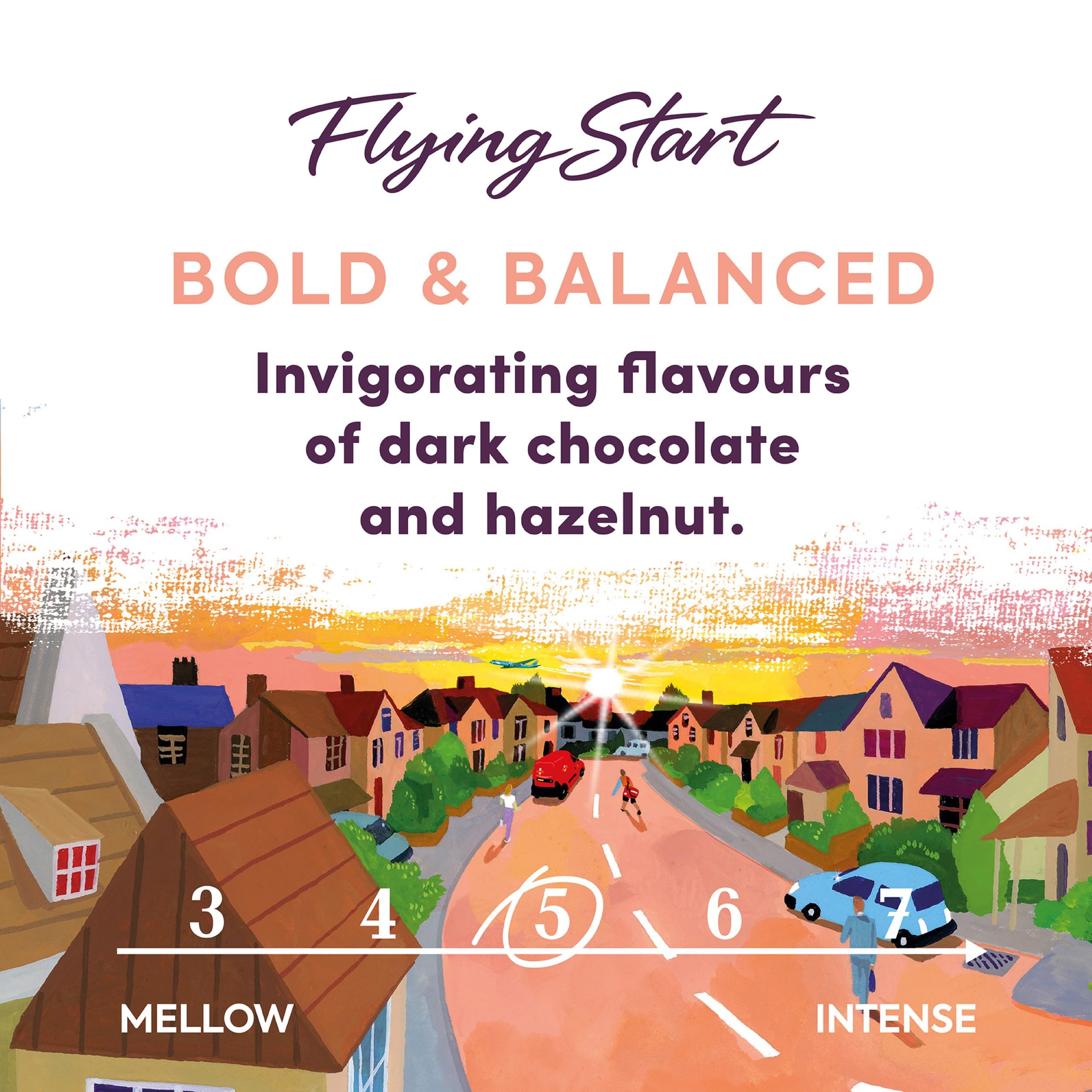 Taylors of Harrogate Flying Start Ground Coffee Bags - Dark Chocolate & Hazelnut Roast | 10 Count (Pack of 3)
