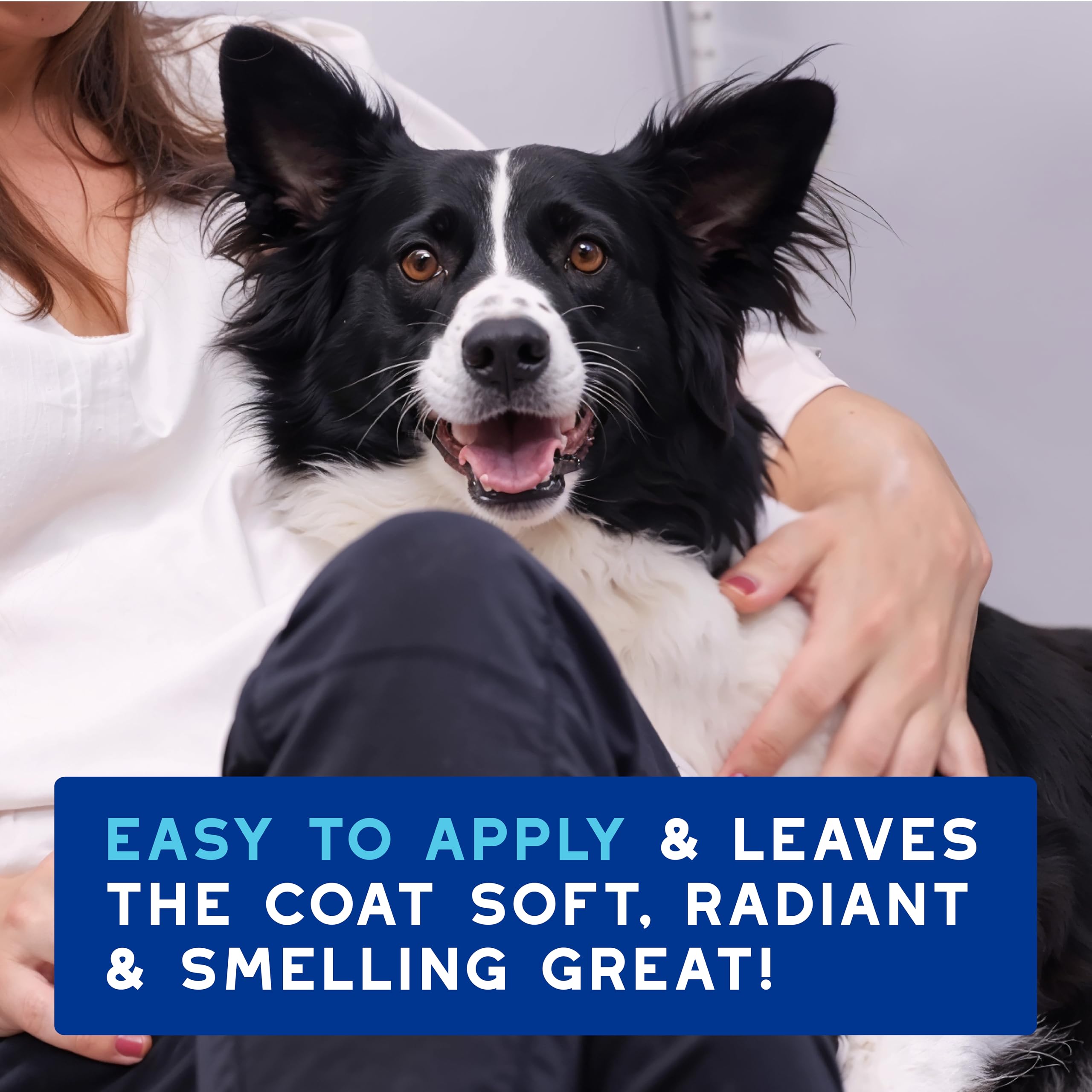 Douxo Skin & Coat SPA Quick Refresh Leave-on Mousse for Dogs - Waterless Cleansing, 150 ml 7