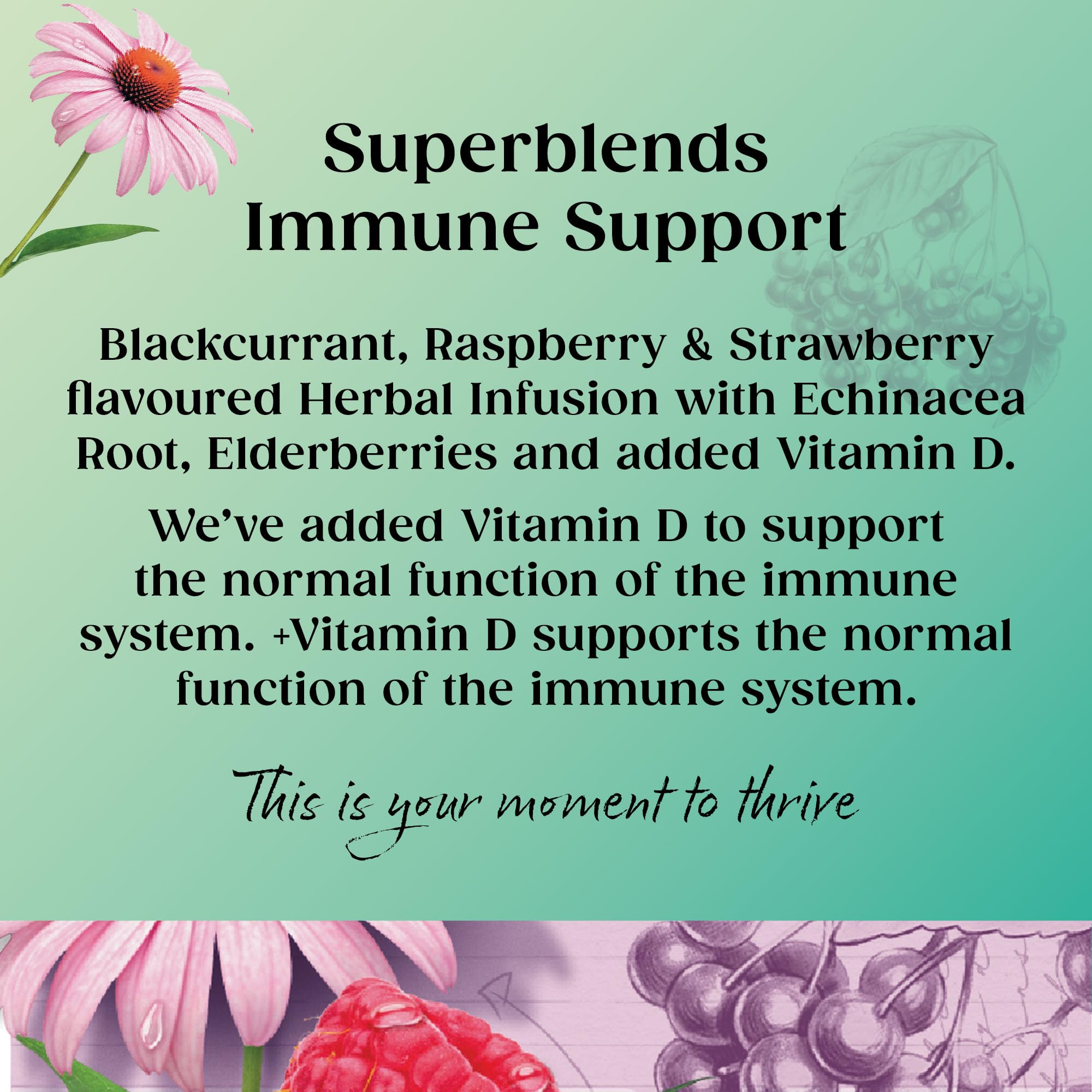 Twinings Superblends Immune Support Herbal Tea - Blackcurrant, Raspberry & Elderberry | 80 Count