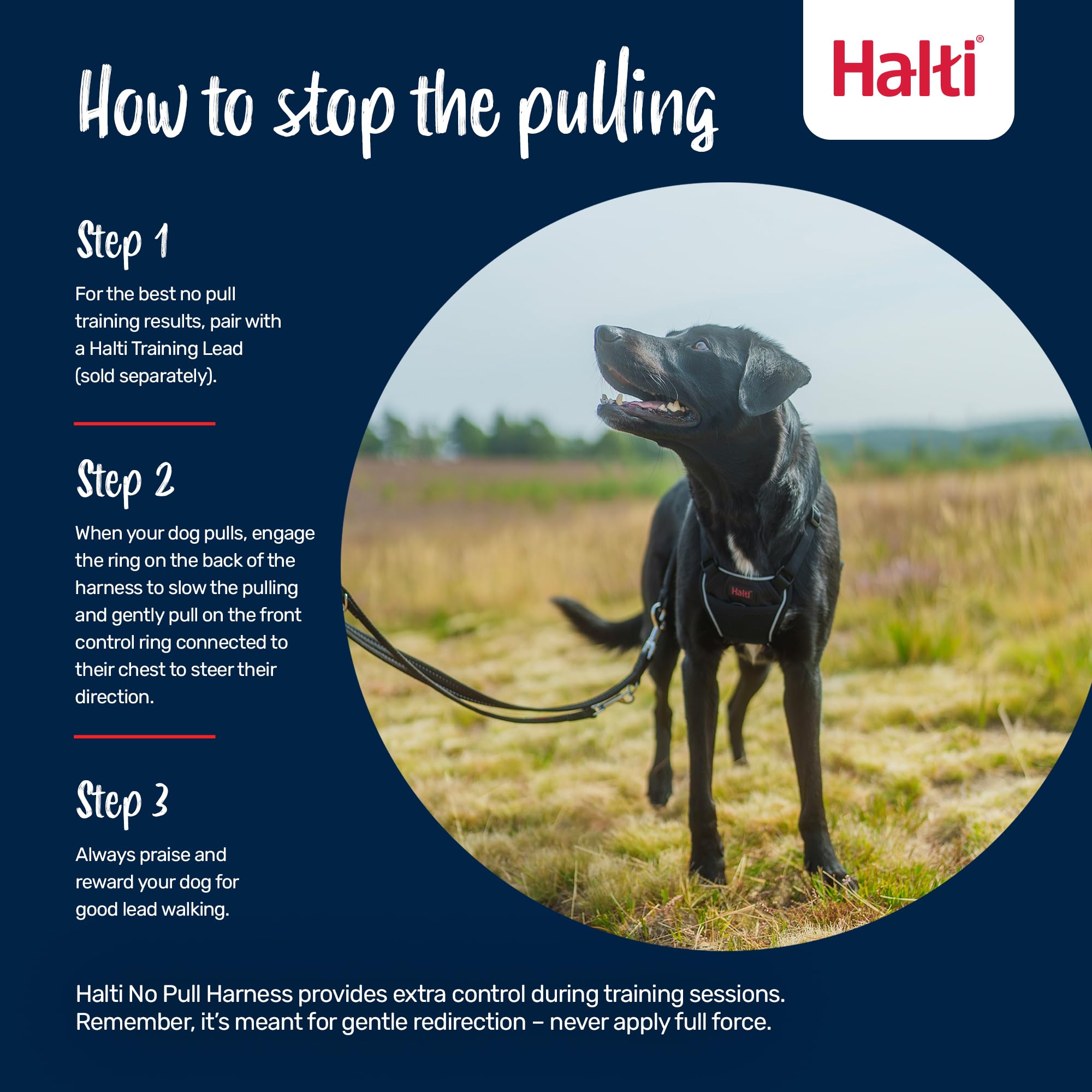 Halti No Pull Harness - Stops Pulling with Front Control Steering | Size S | Forest Green 4