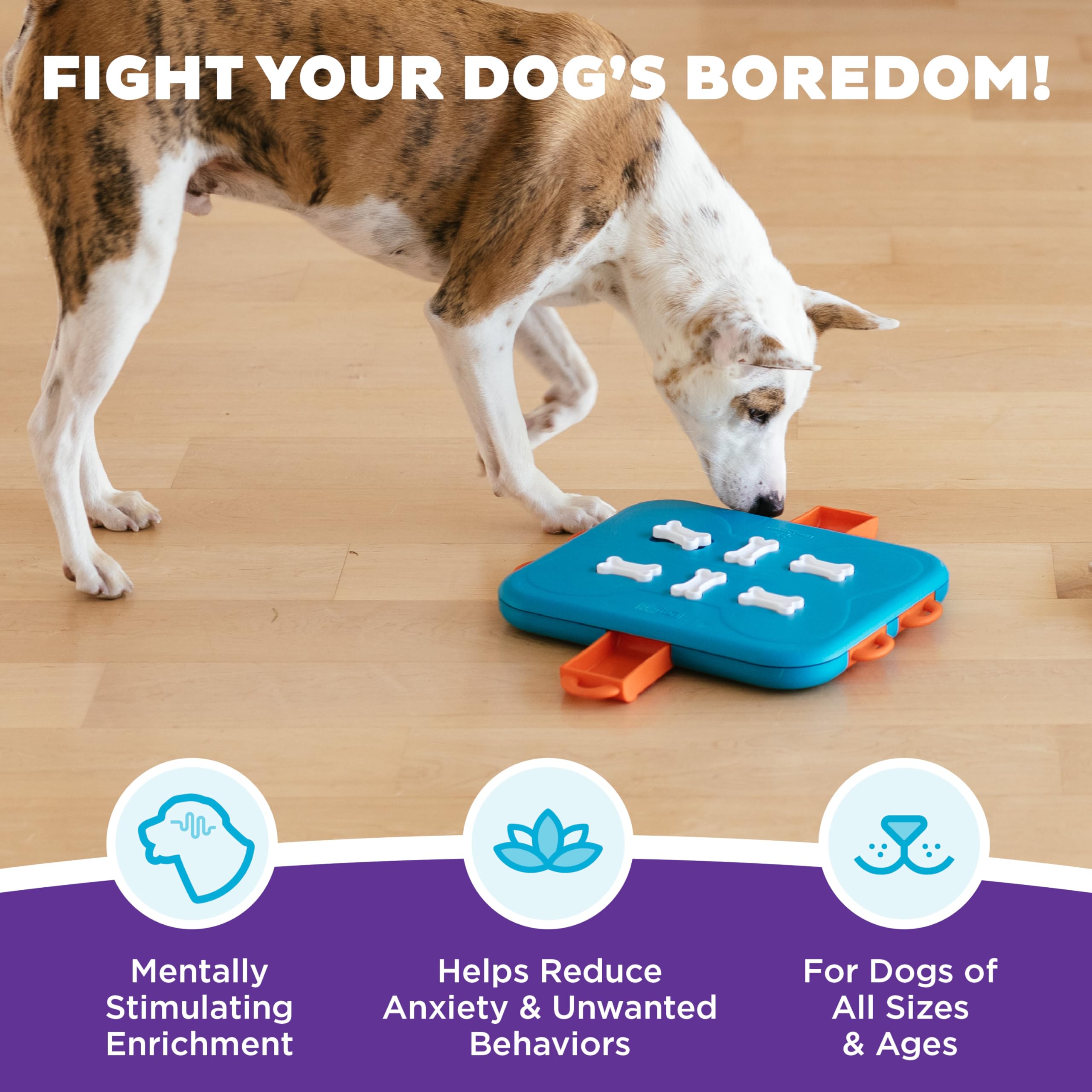 Outward Hound Nina Ottosson Dog Casino Interactive Treat Puzzle Toy - Level 3 Advanced | Medium Size | Plastic 2