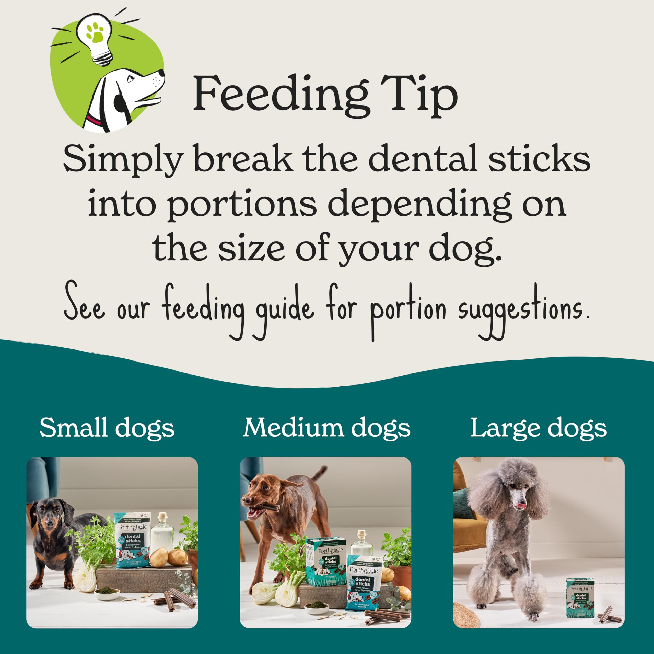 Forthglade Natural Dog Dental Sticks - Plant-Based & Grain Free for Adult Dogs (20 Sticks) 5