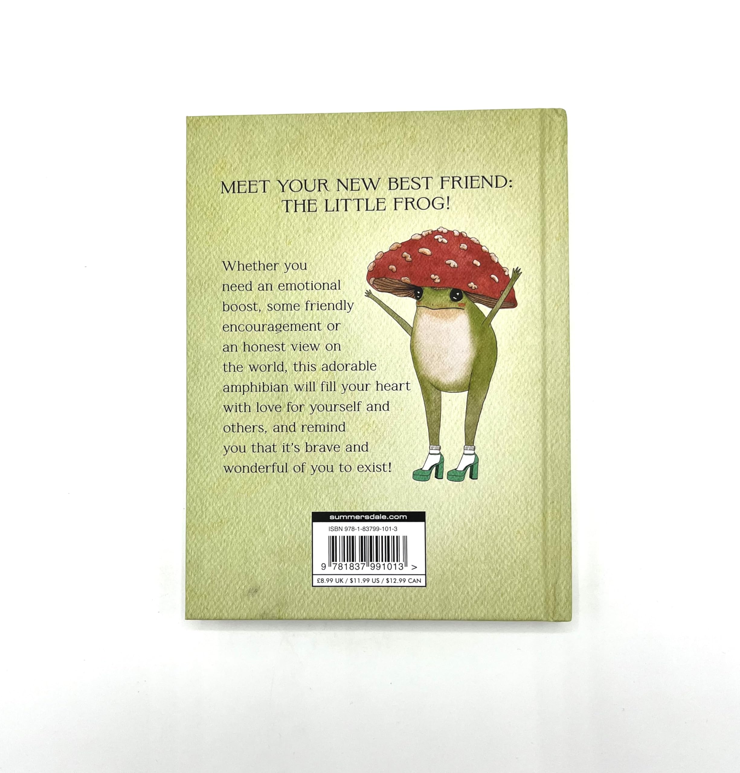 Summersdale The Little Frog's Guide to Self-Care: Affirmations, Self-Love and Life Lessons | Hardcover 5