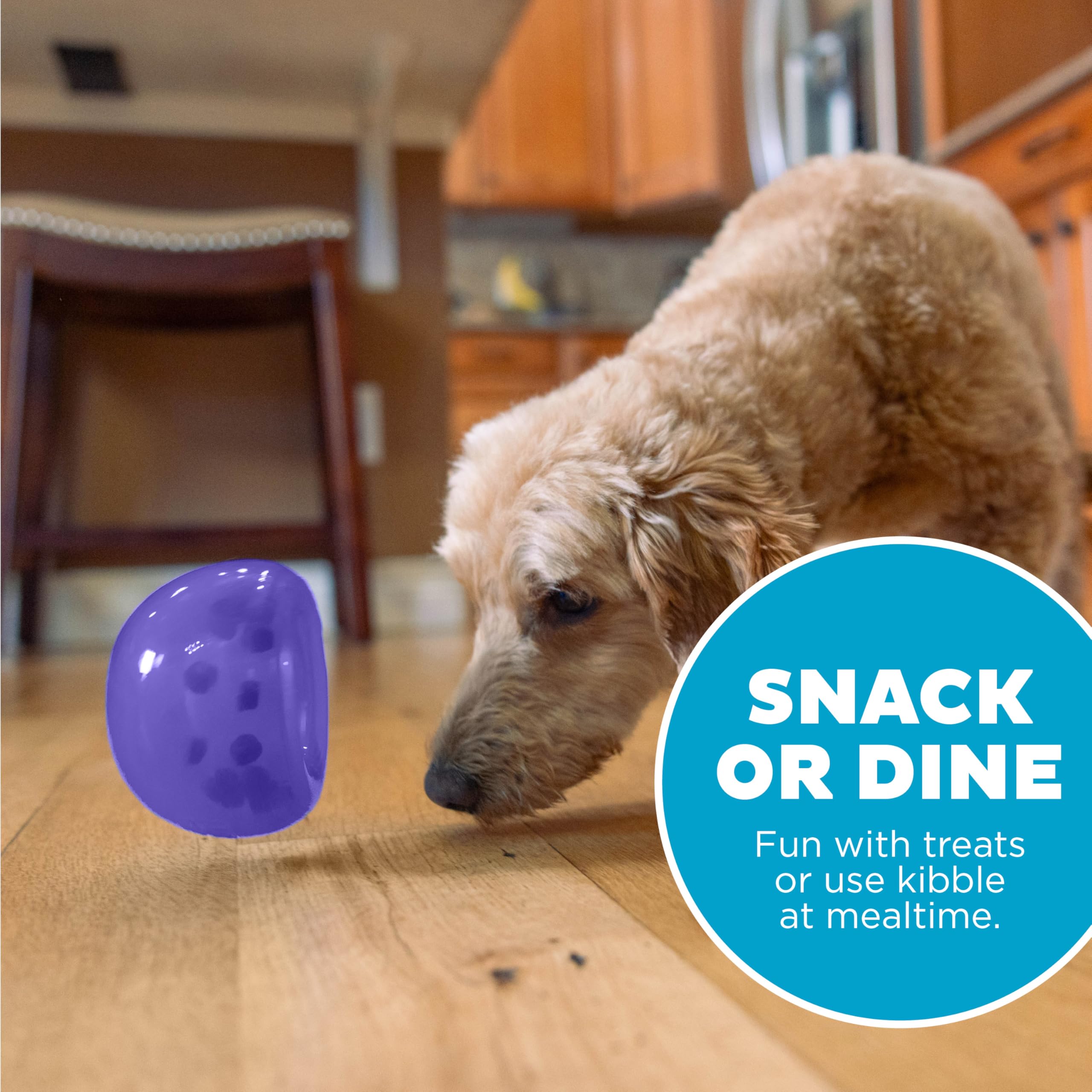 Outward Hound Lil' Snoop Treat Dispensing Dog Toy | Durable Orbee-Tuff | Mint Scented | Small Dogs 6