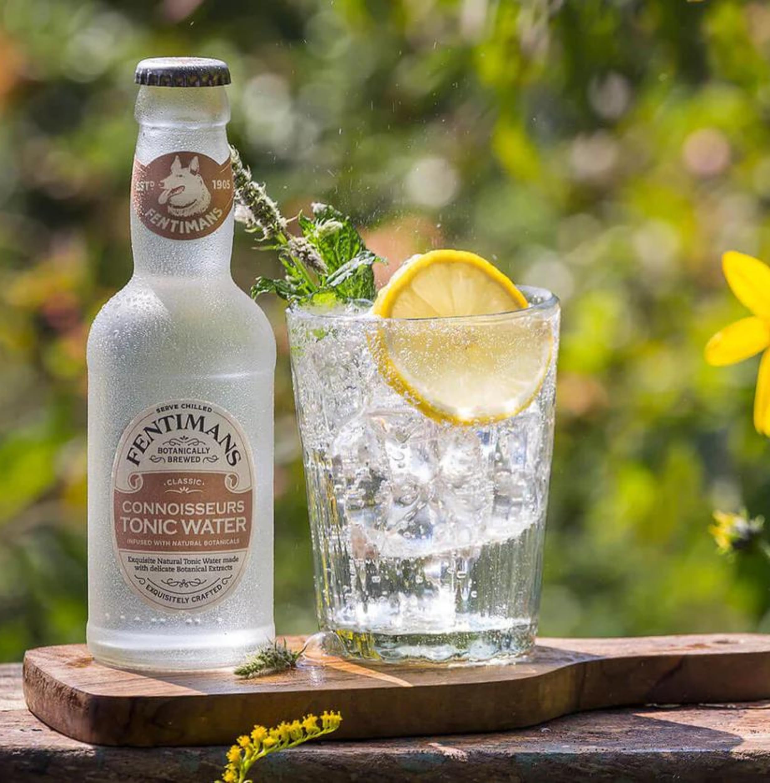 Fentimans Connoisseurs Tonic Water - Botanically Brewed, Gluten Free | 200 ml (Pack of 4) 5