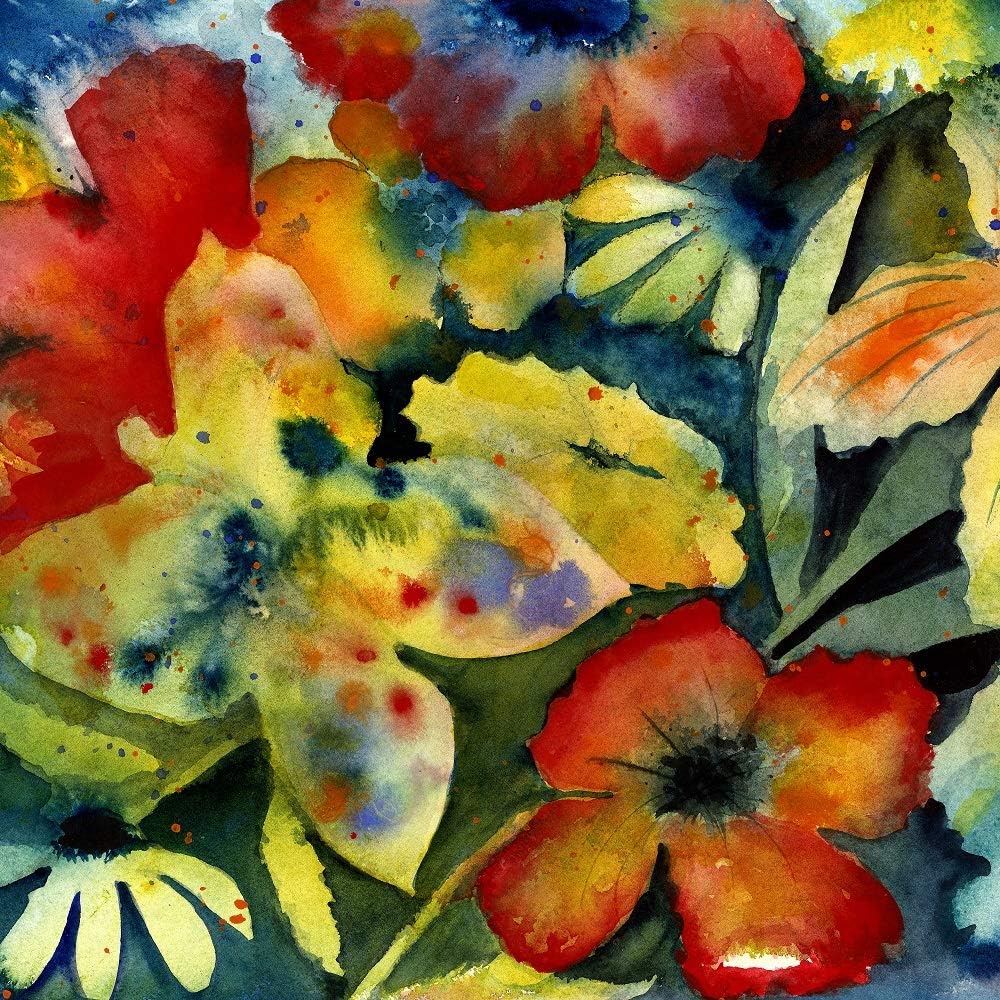 Adrianne Lenker - songs and instrumentals [Audio CD]