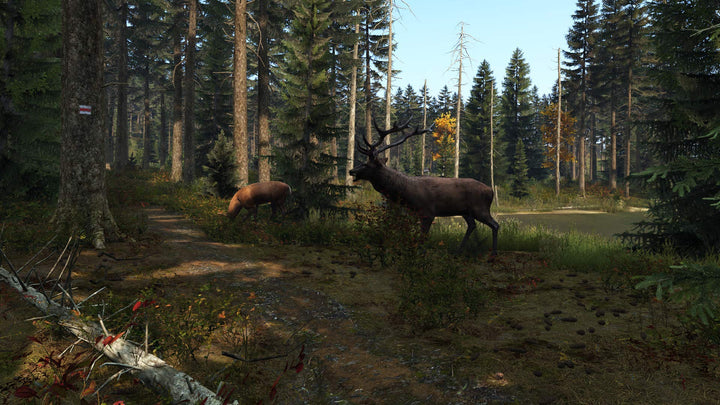 Dayz - PS4 PlayStation 4 Edition
