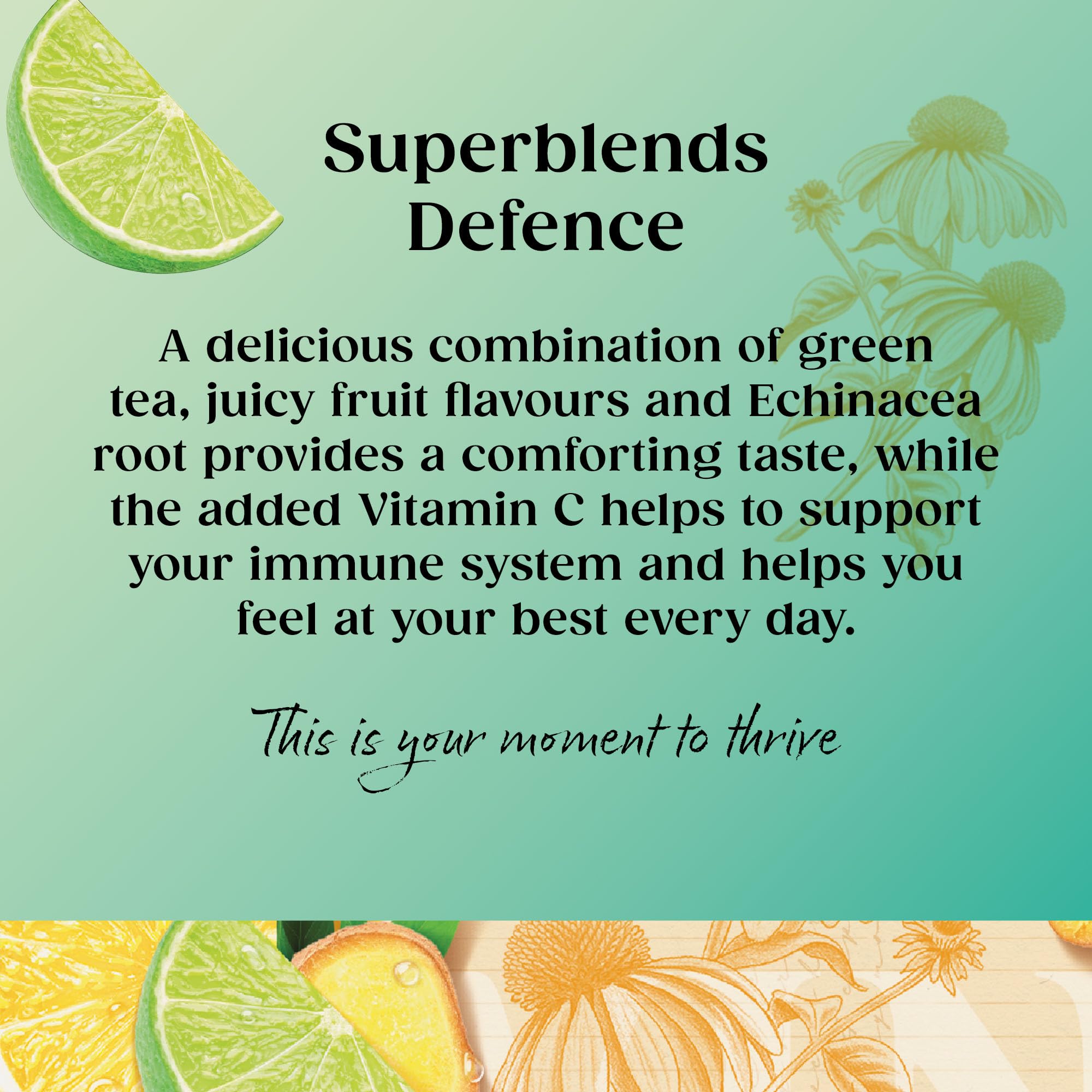 Twinings Superblends Defence Tea - Citrus & Ginger Green Tea Herbal Infusion | 20 Count (Pack of 4)