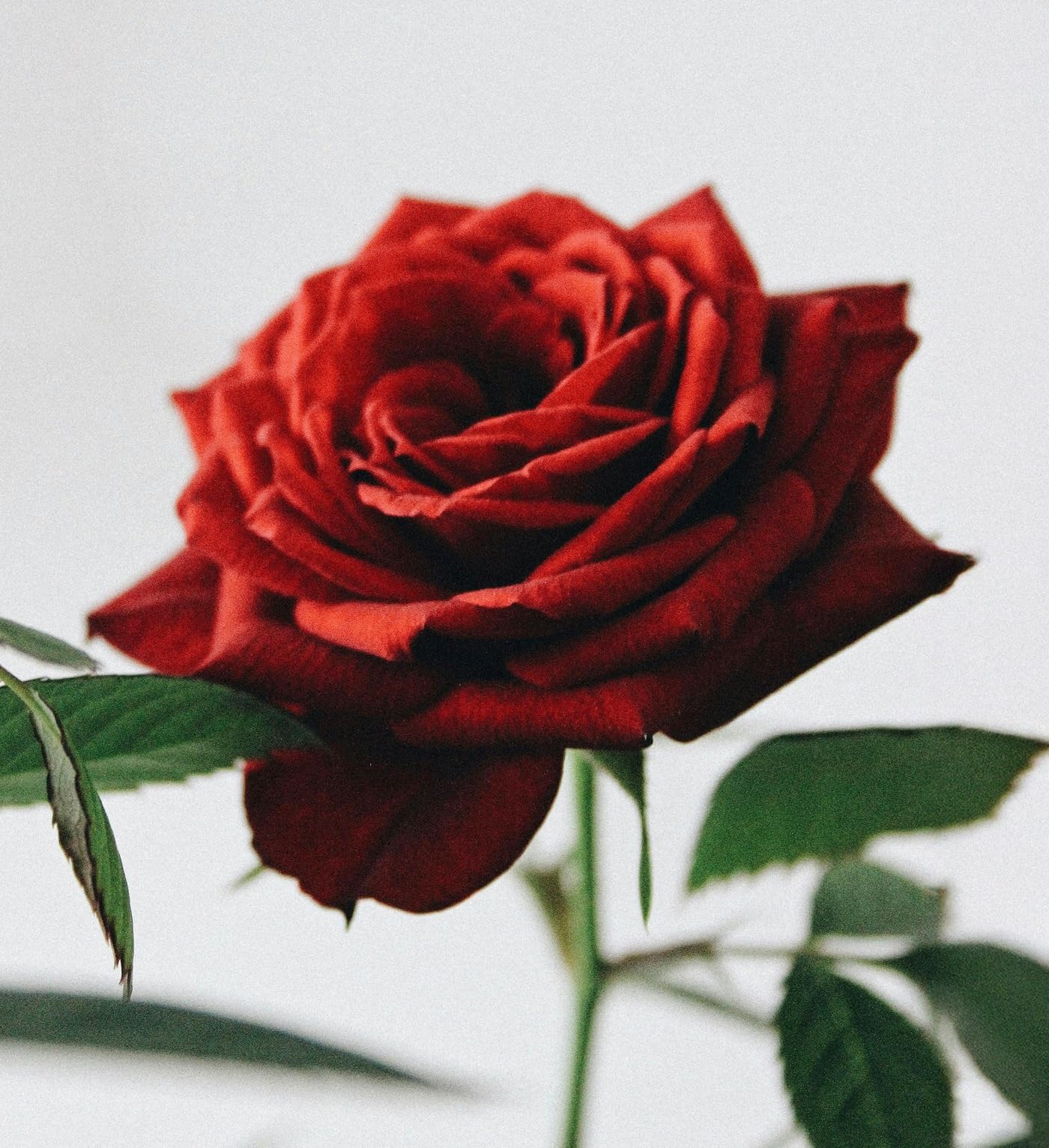 The Lab Co. - Laundry Detergent Strips Sheets 64 Loads Eco Ultra-Concentrated 8