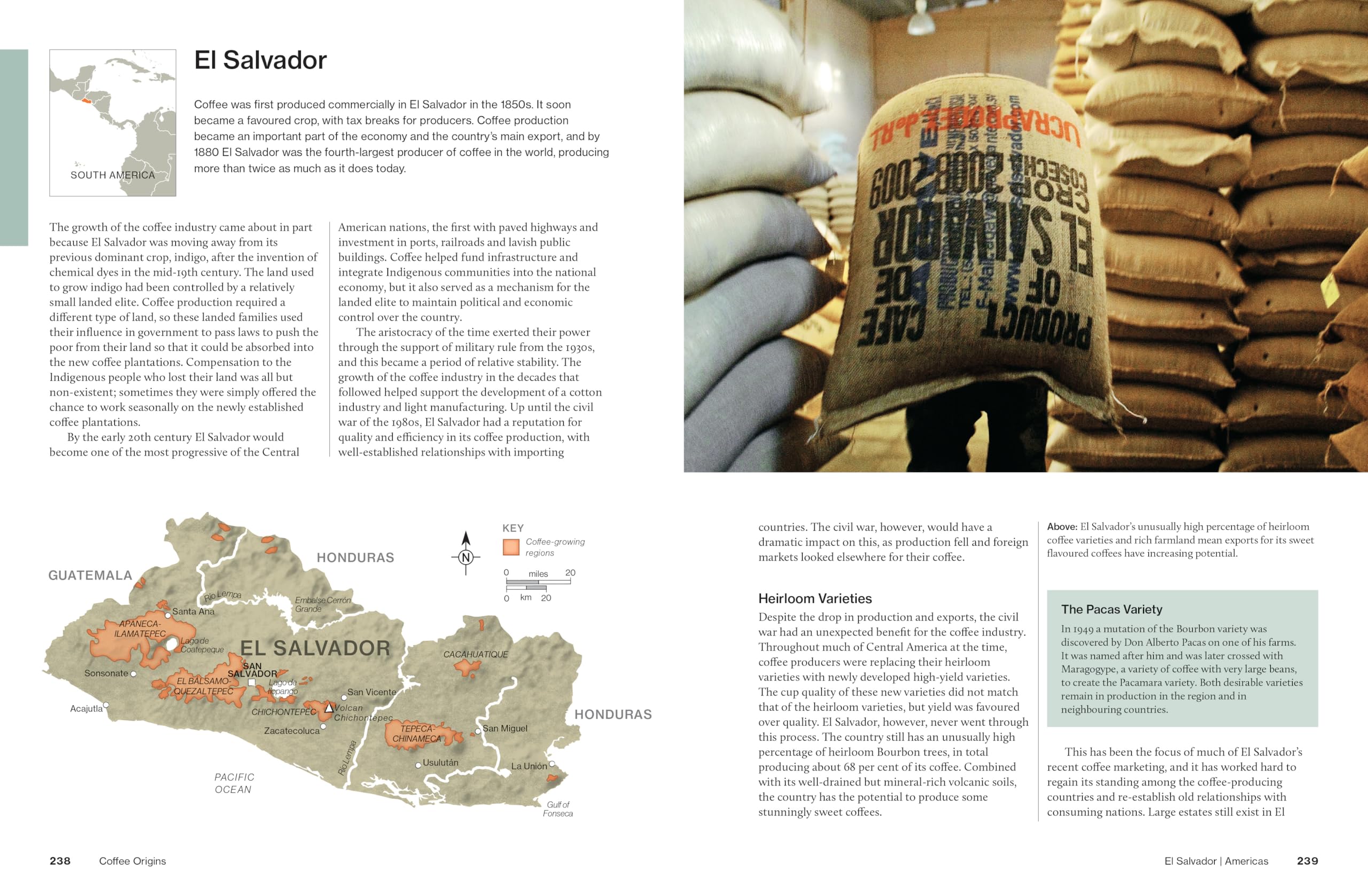 The World Atlas of Coffee 3rd Edition by James Hoffmann - Comprehensive Coffee Guide | Hardcover 6