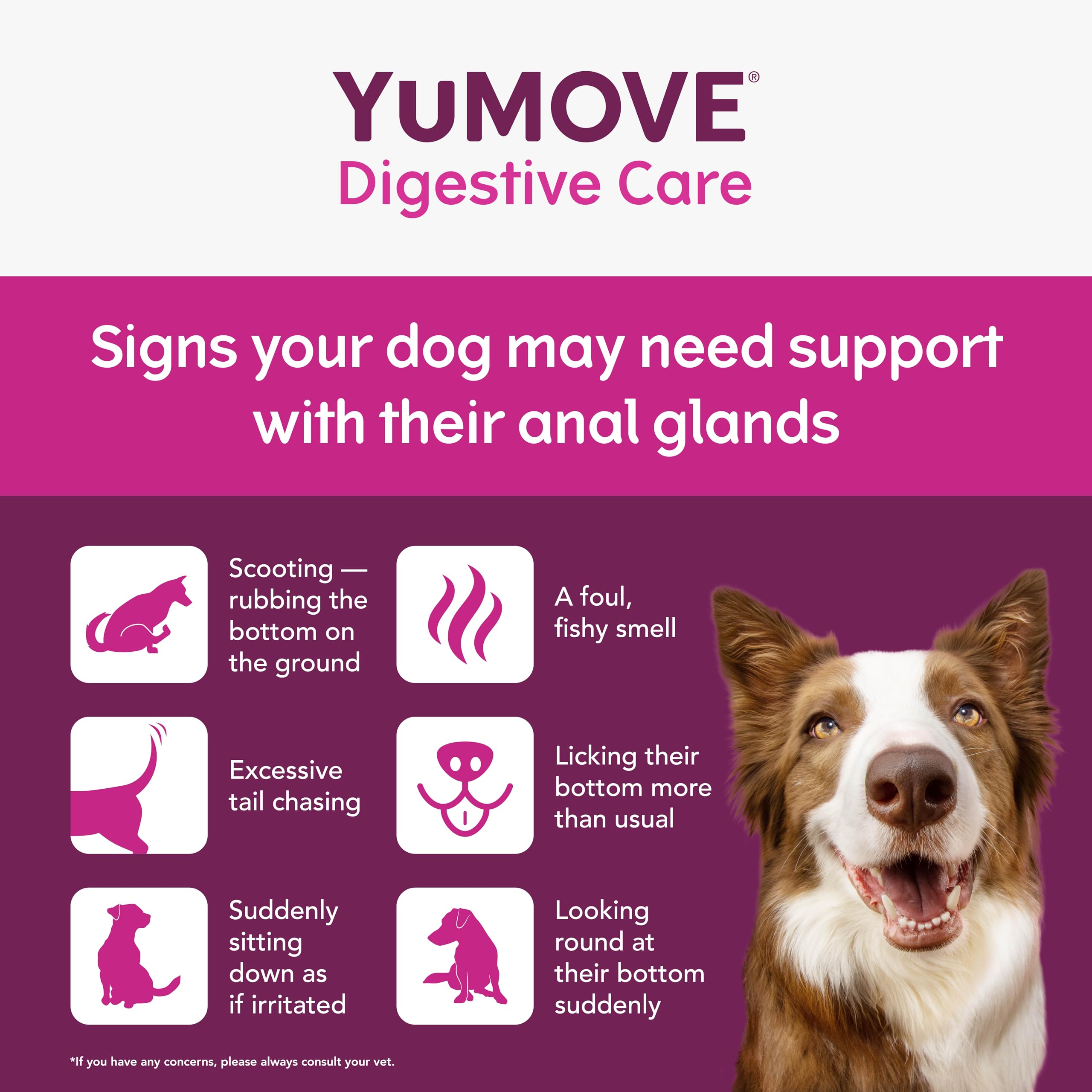 YuMOVE Digestive Care & Fibre Dog Supplement for Gut Health | 180g Powder 3