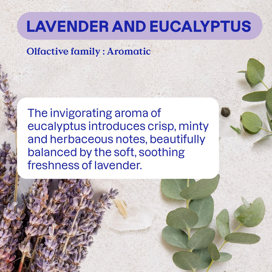 ATTITUDE - Odor Eliminator with Activated Carbon Plant-Based Air Purifier Lavender & Eucalyptus