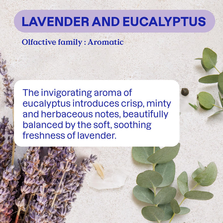 ATTITUDE - Odor Eliminator with Activated Carbon Plant-Based Air Purifier Lavender & Eucalyptus