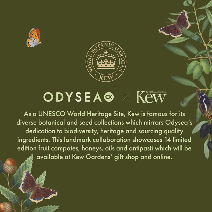 Odysea x Kew Gardens - High Polyphenol Greek Extra Virgin Olive Oil 500ml
