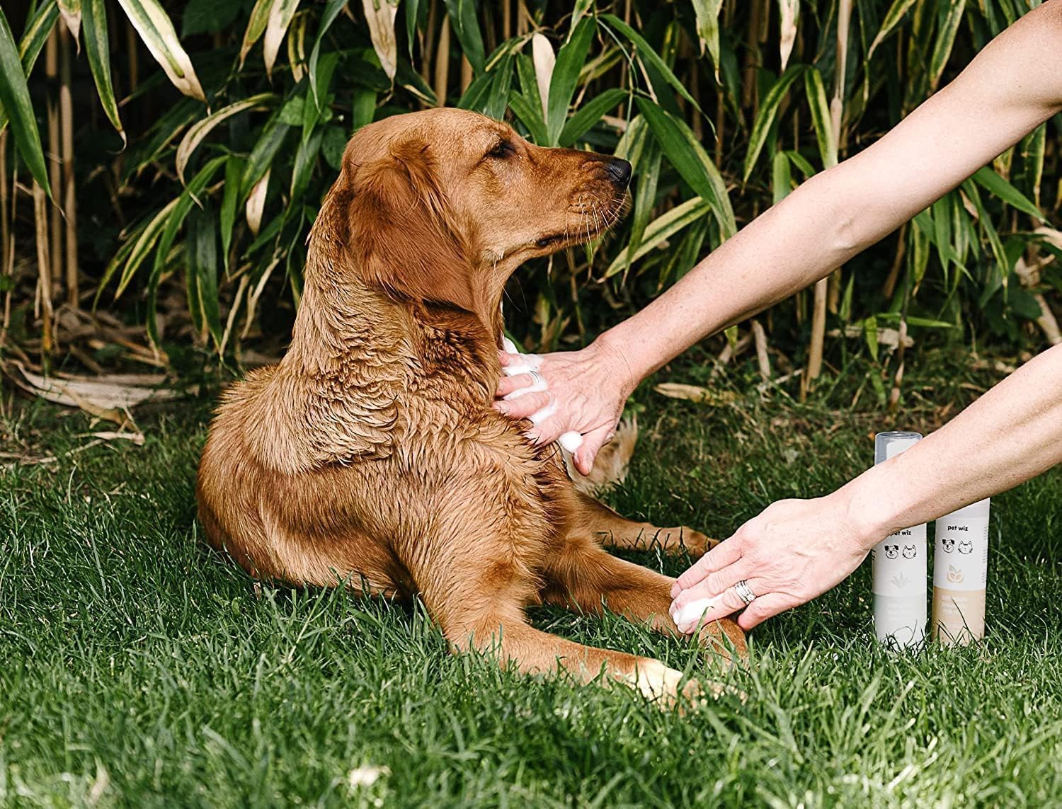pet wiz Waterless Mousse Dog Shampoo - Aloe & Oat Scent | 200ml 4