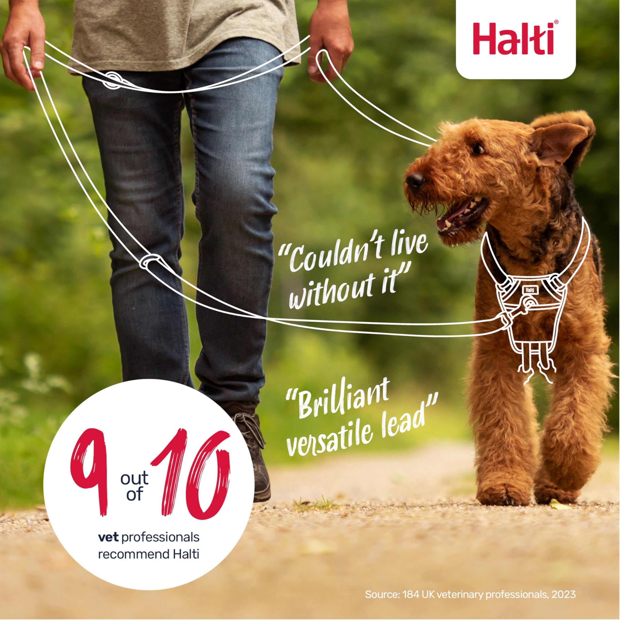 Halti Training Lead - Stops Pulling, Double-Ended, Lightweight & Durable | Size Large, Black, 2m 7