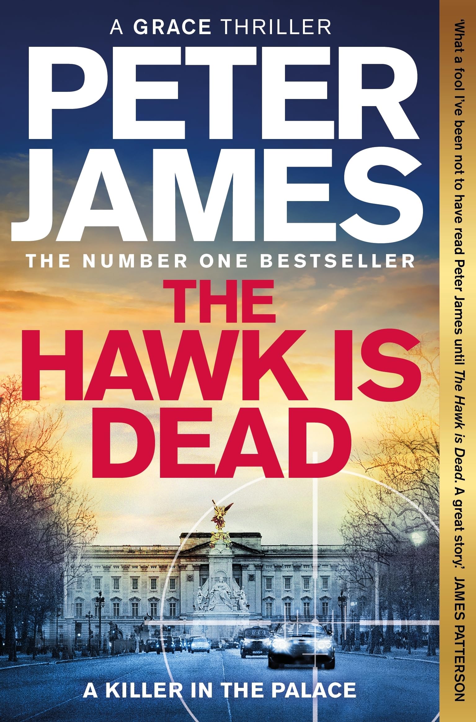 Peter James - The Hawk Is Dead | Roy Grace Mystery (Paperback)