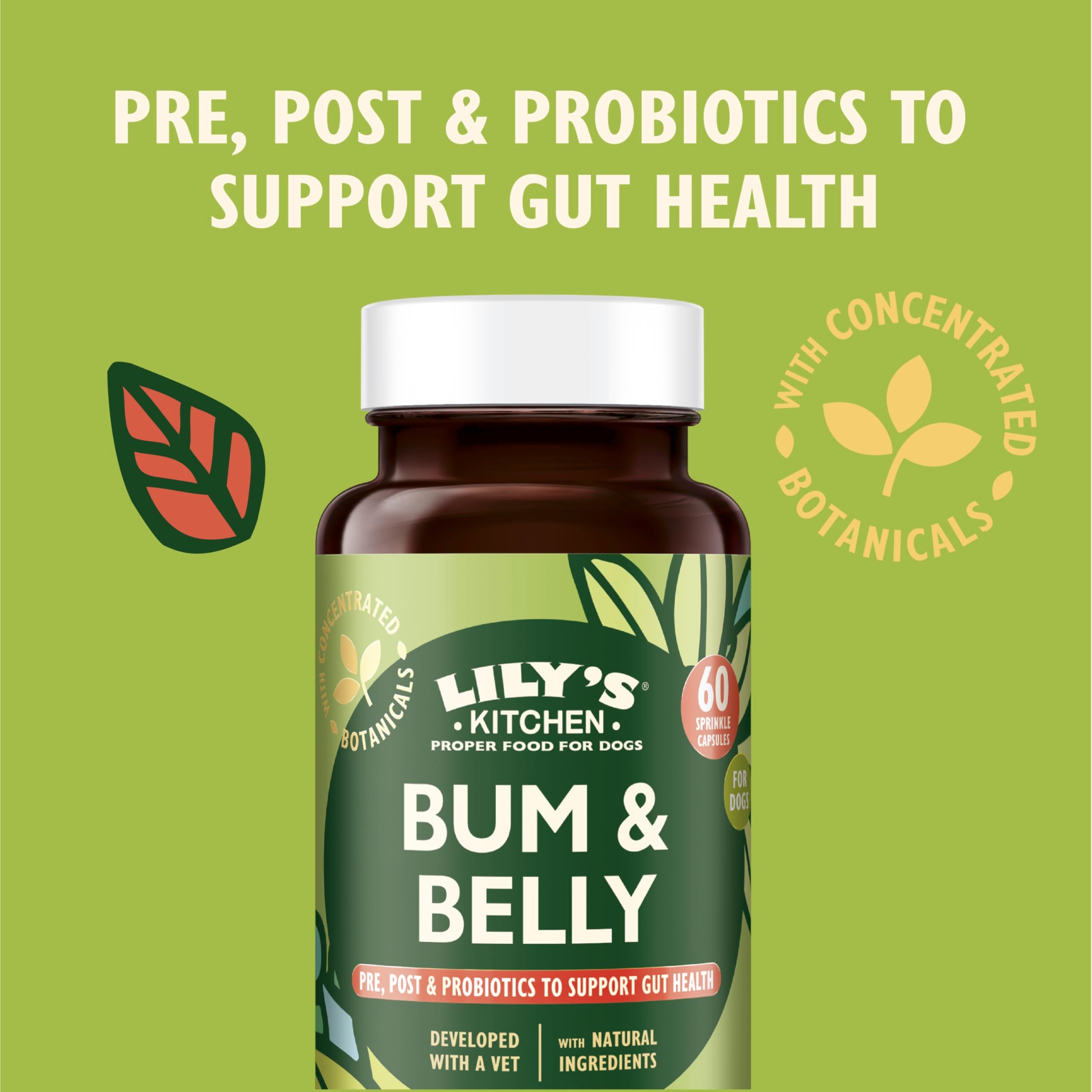 Lily's Kitchen Bum & Belly Supplements for Adult & Senior Dogs - Digestive Support | 60 Capsules 3
