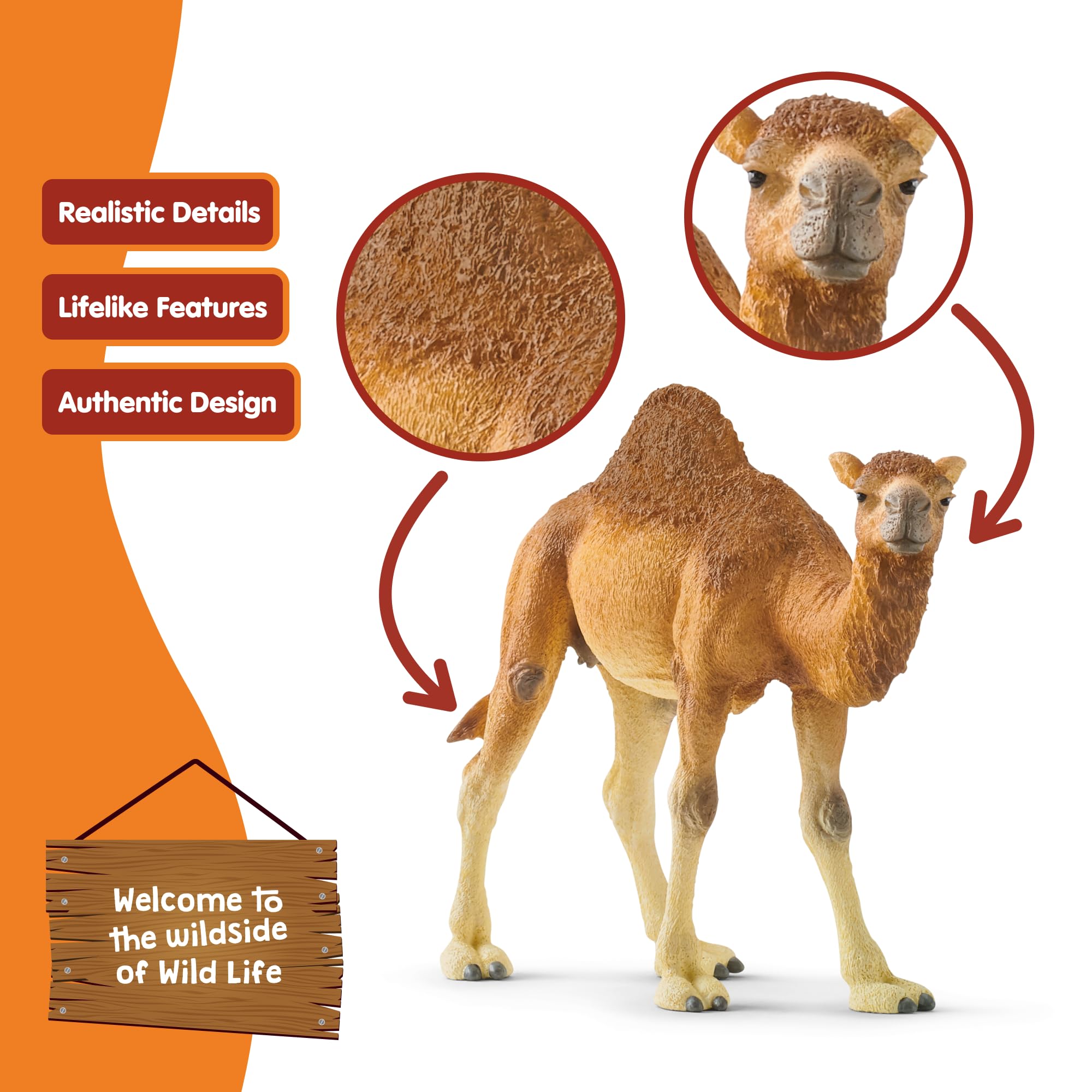 Schleich 14832 Dromedary Wild Life Toy Figurine | Ages 3-8 | Beige/Brown 4