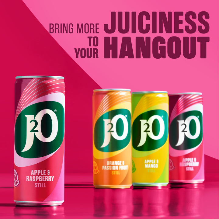 J2O Apple & Raspberry Flavoured Fruit Drink Cans - 4 x 250ml