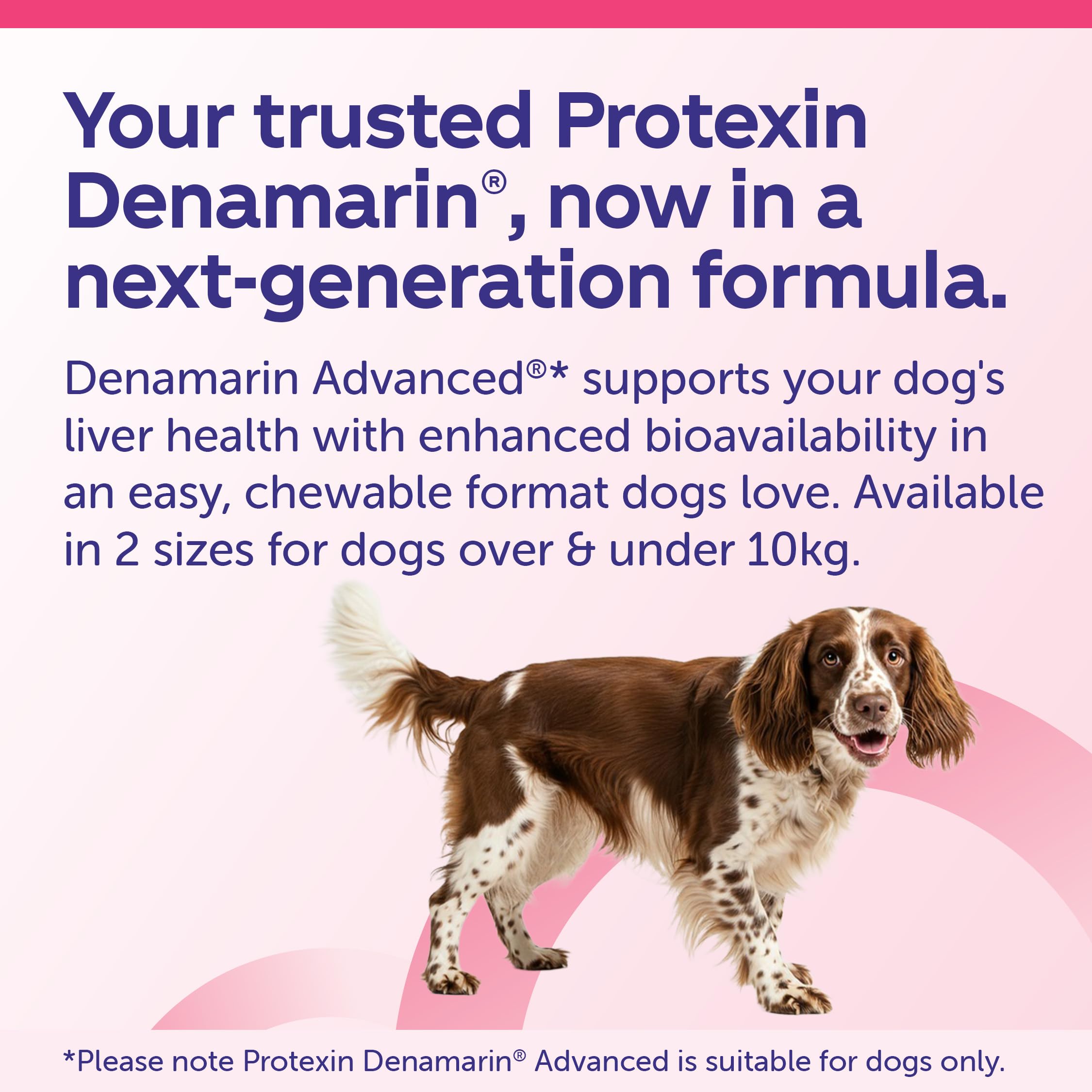 Protexin Denamarin Advanced for Dogs under 10kg - Liver & Antioxidant Support | 30 Tablets 5