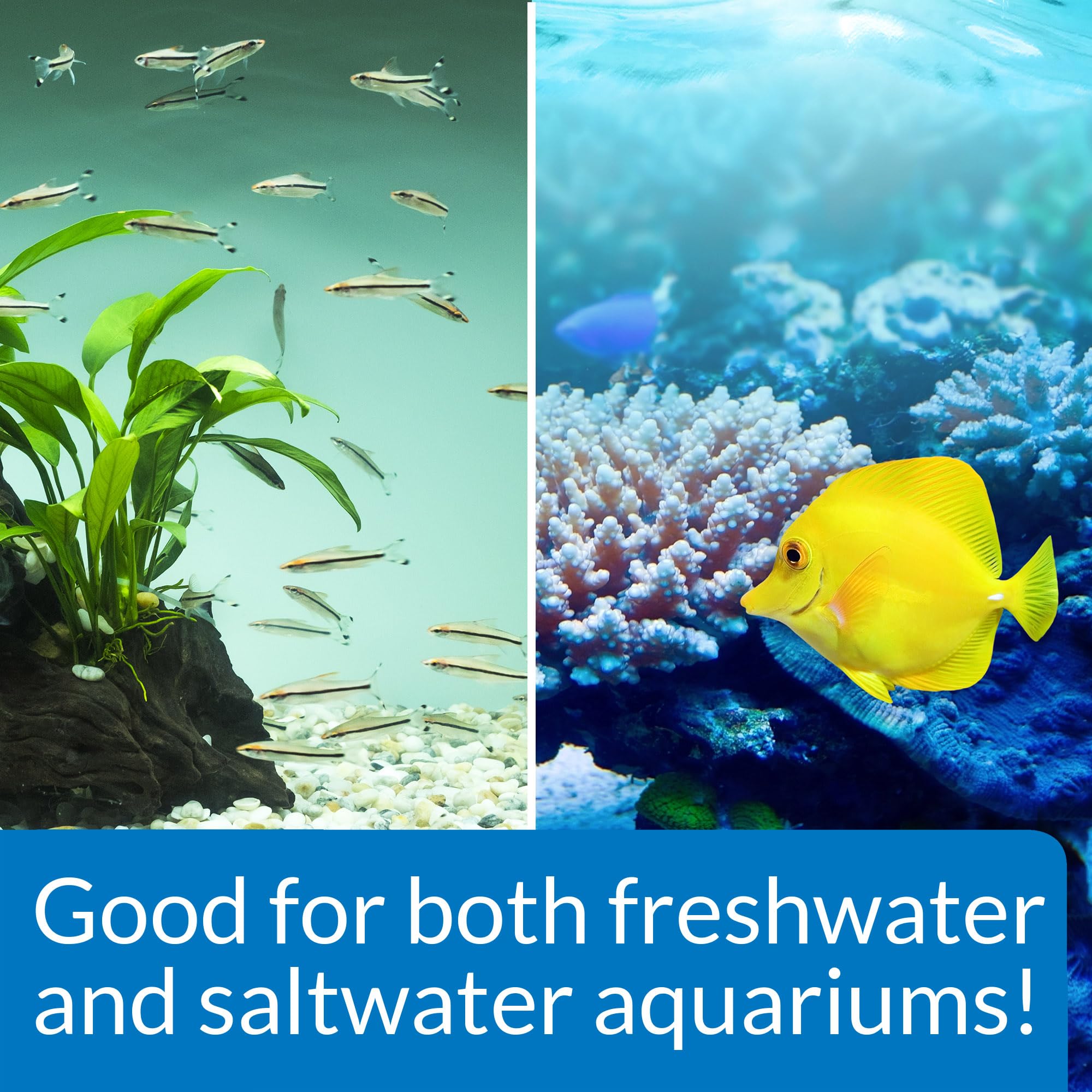 API STRESS ZYME Aquarium Cleaning Solution - Consumes Sludge | 473 ml Liquid