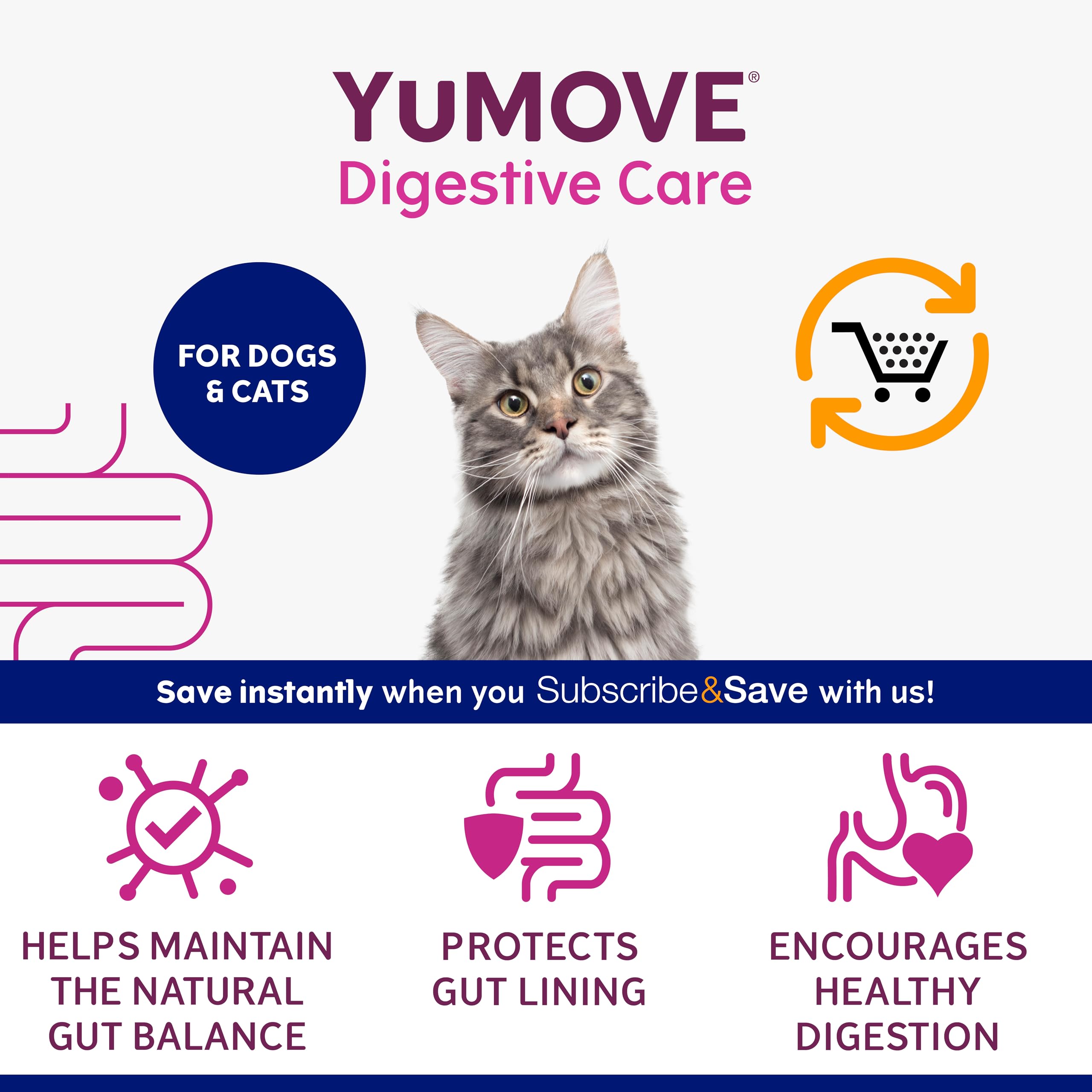 YuMOVE Digestive Care PLUS Pre and Probiotics Supplement for Dogs & Cats | 60 Sachets | Powder Form 3