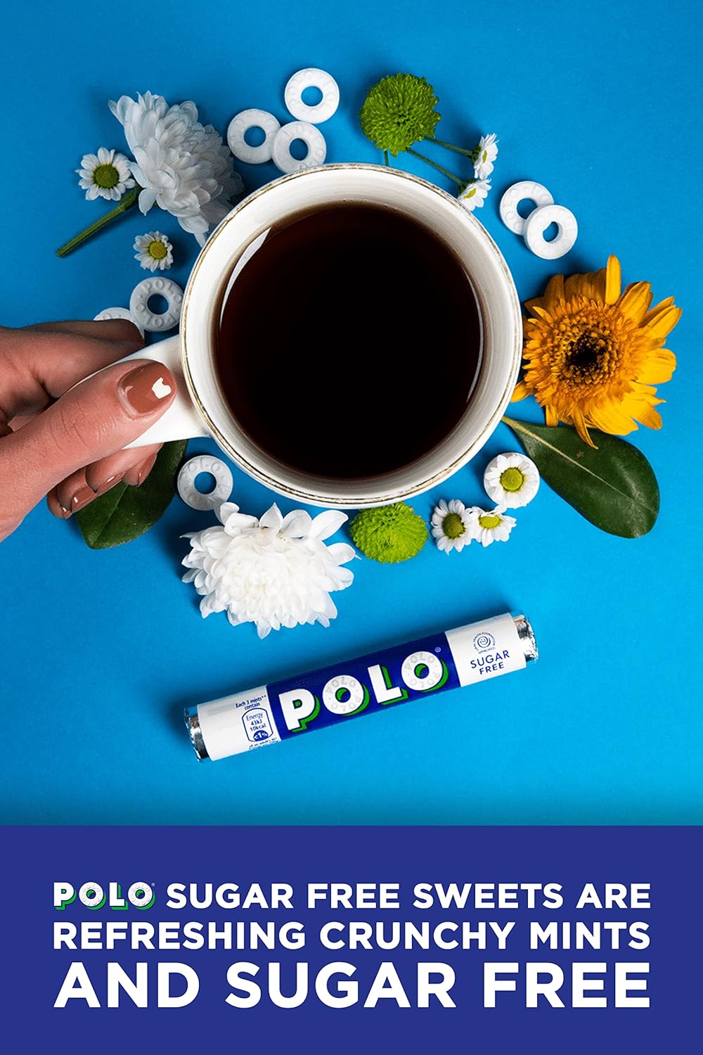 Nestlé POLO Extra Strong Sugar Free Mints, 32 x 33.4g - The Mint with the Hole