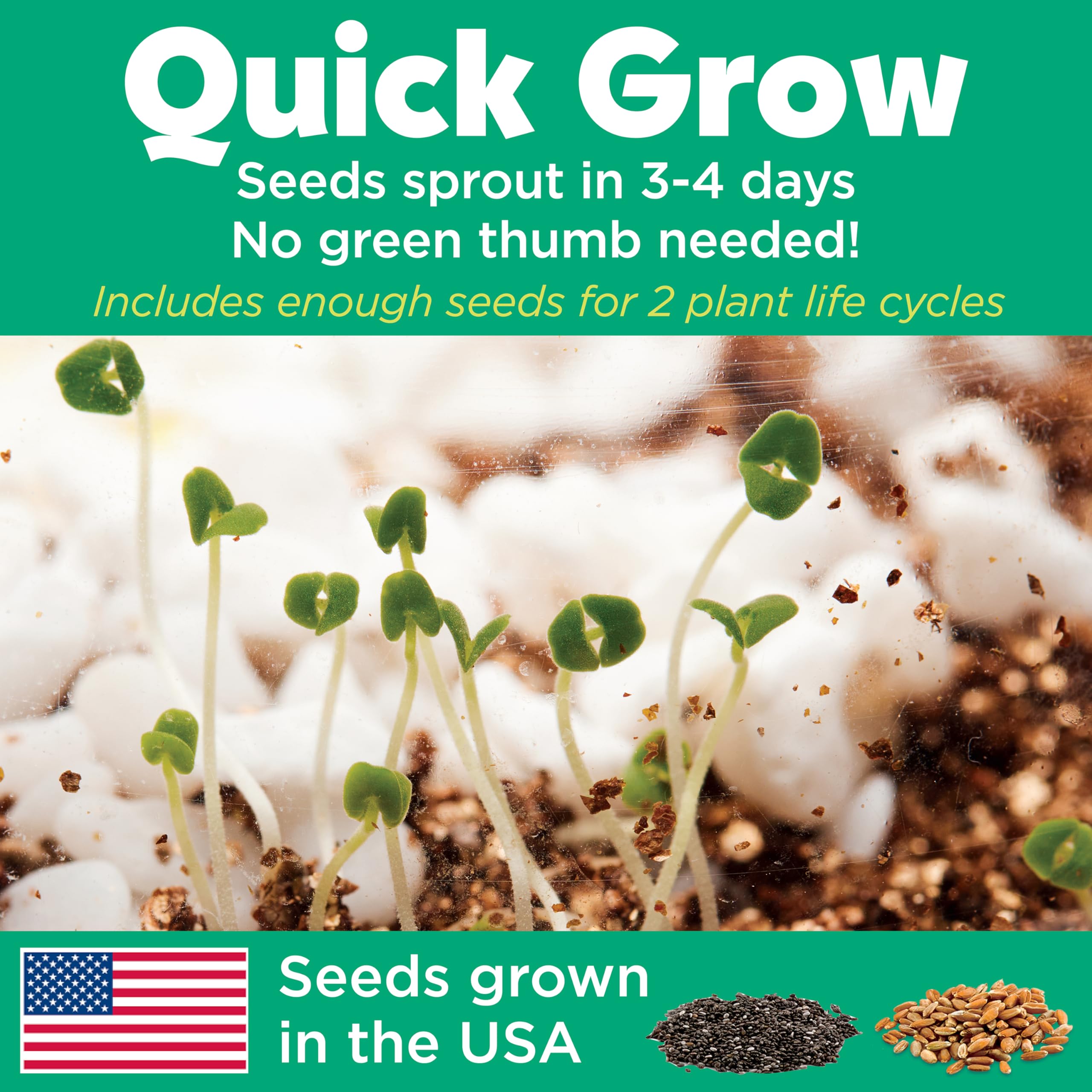 Creativity for Kids Grow 'N Glow Terrarium Kit - DIY Miniature Garden with Glow-in-the-Dark Stickers 4