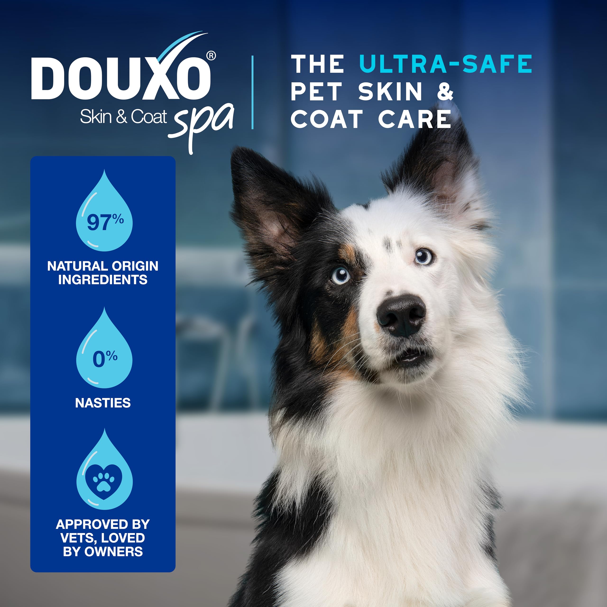 Douxo Skin & Coat SPA Quick Refresh Leave-on Mousse for Dogs - Waterless Cleansing, 150 ml 4