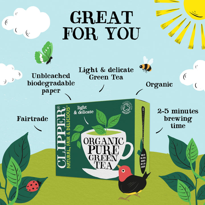 Clipper Organic Pure Green Tea Bags - 320 Bags (4 x 80) Bulk Pack, Fairtrade & Plastic-Free