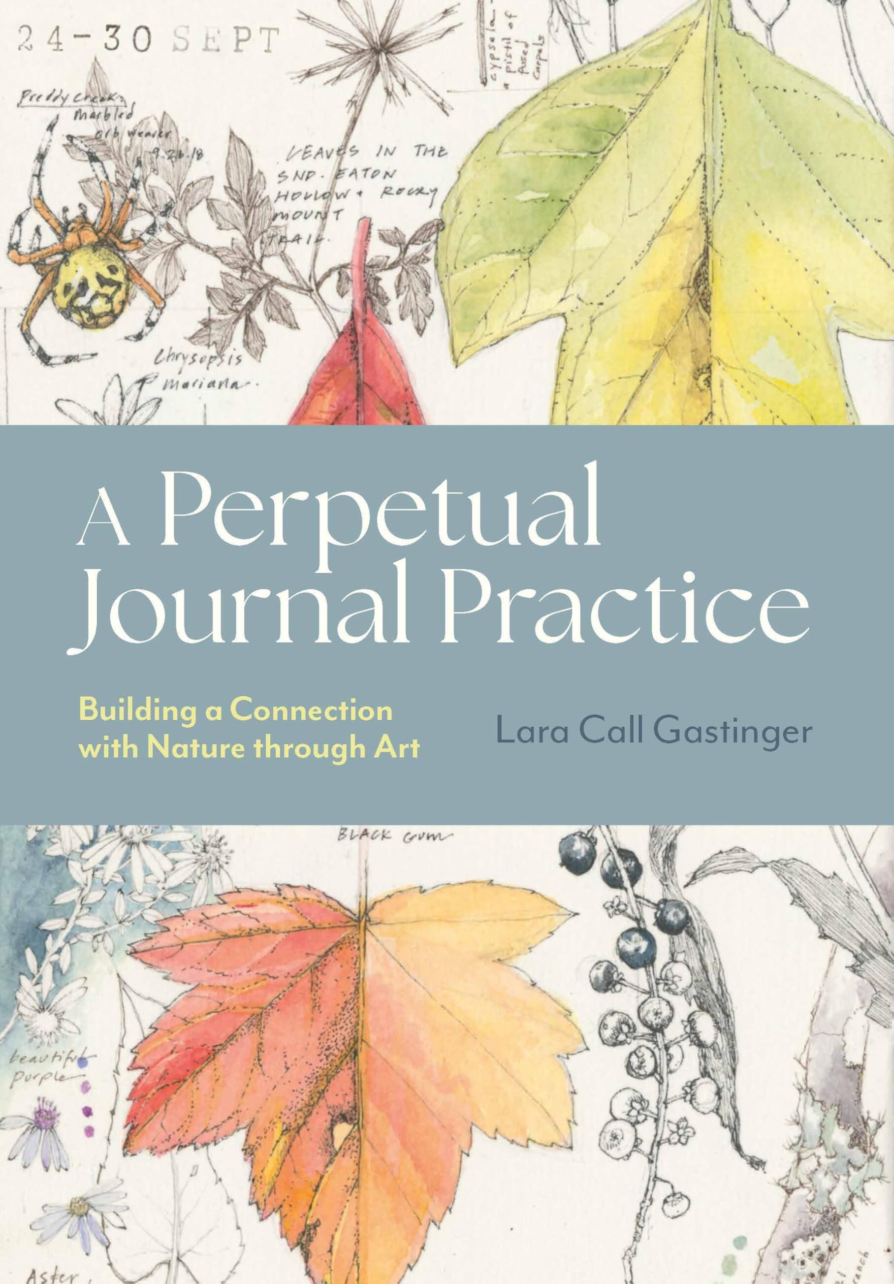 Timber Press A Perpetual Journal Practice: Building a Connection with Nature through Art | Paperback 1