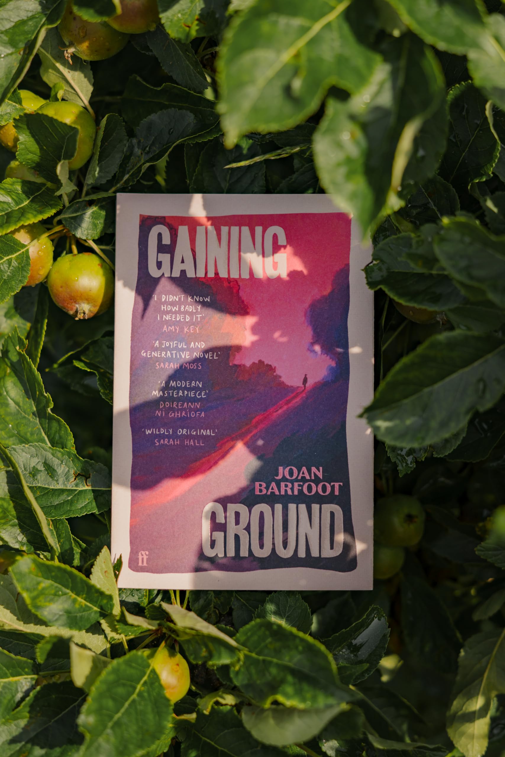 Gaining Ground by Joan Barfoot - A Novel of Self-Liberation | Paperback | 304 Pages 2