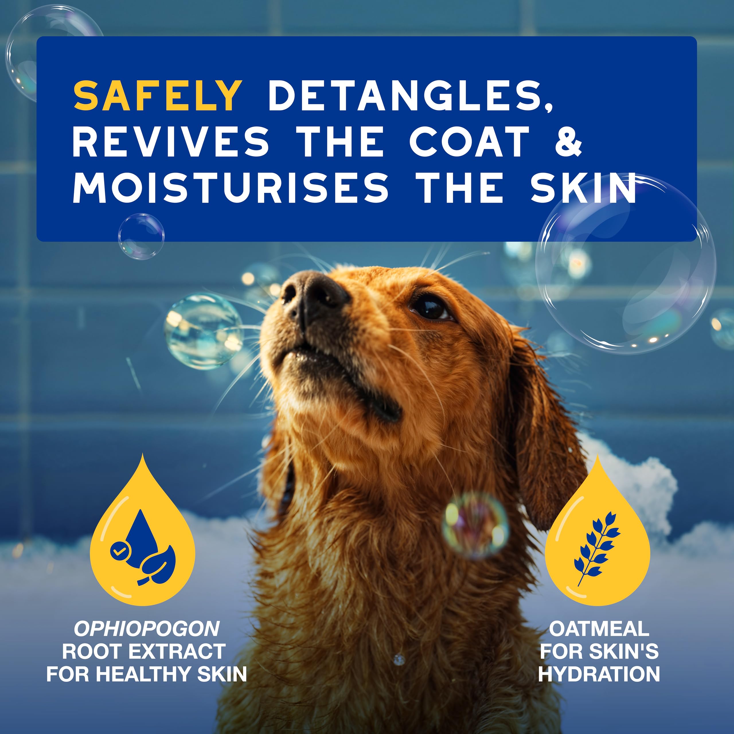 Douxo Skin & Coat SPA Oatmeal Dog Conditioner - Detangles & Hydrates | 250 ml