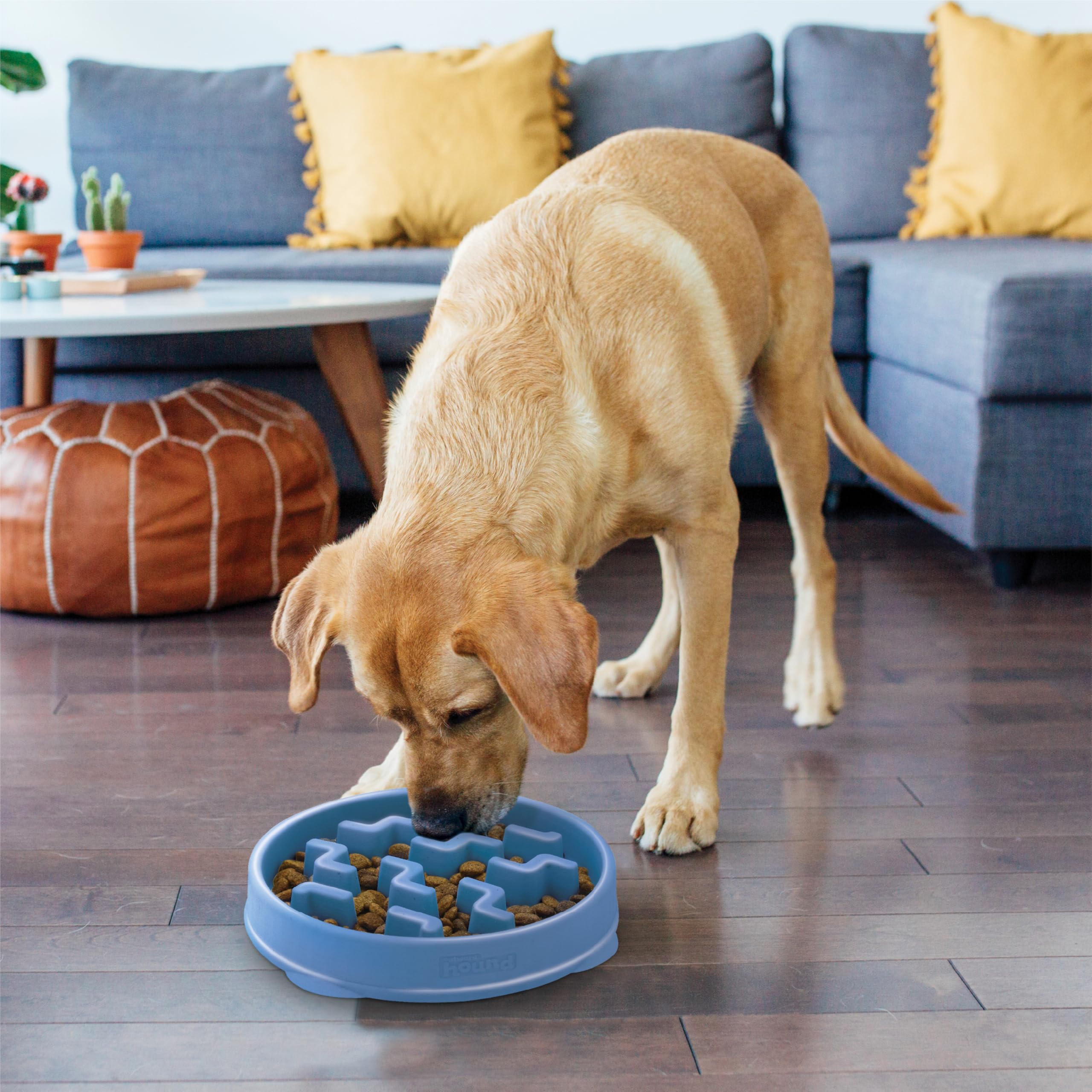Outward Hound Slow Feeder Dog Bowl - Reduces Bloat, Improves Digestion | Large, Blue 6