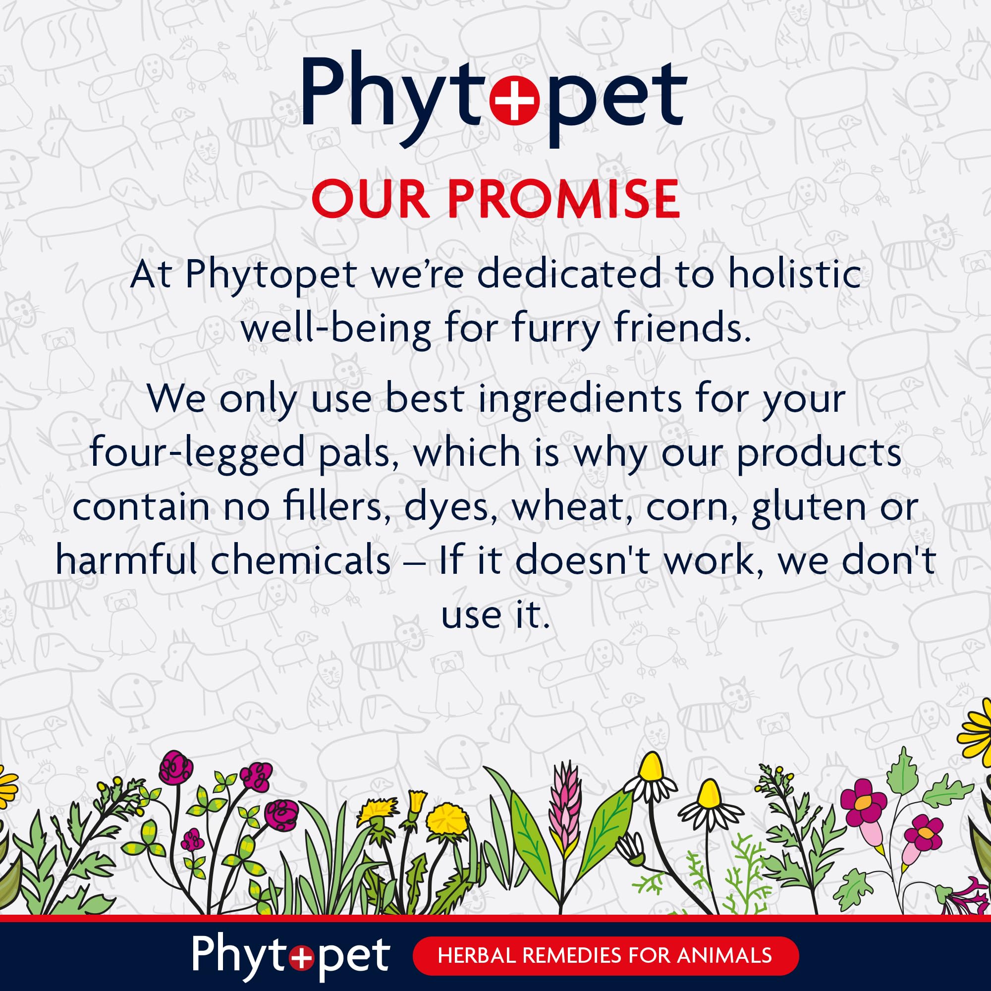 Phytopet Life Drops - Natural Herbal Stimulant for Newborn & Elderly Pets | 10 ml 7