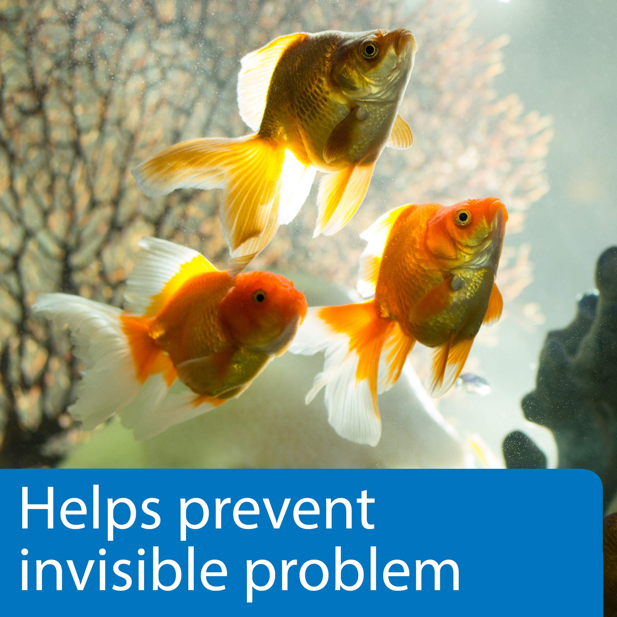API 5-IN-1 Test Strips for Freshwater & Saltwater Aquariums | 25 Count 4