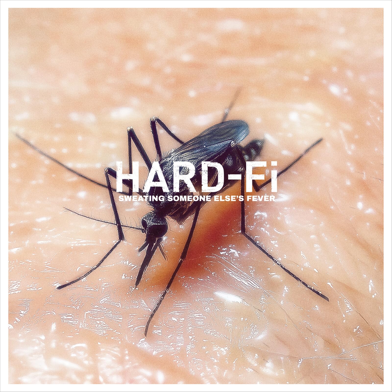 Hard-Fi - Sweating Someone Else's Fever [Vinyl]