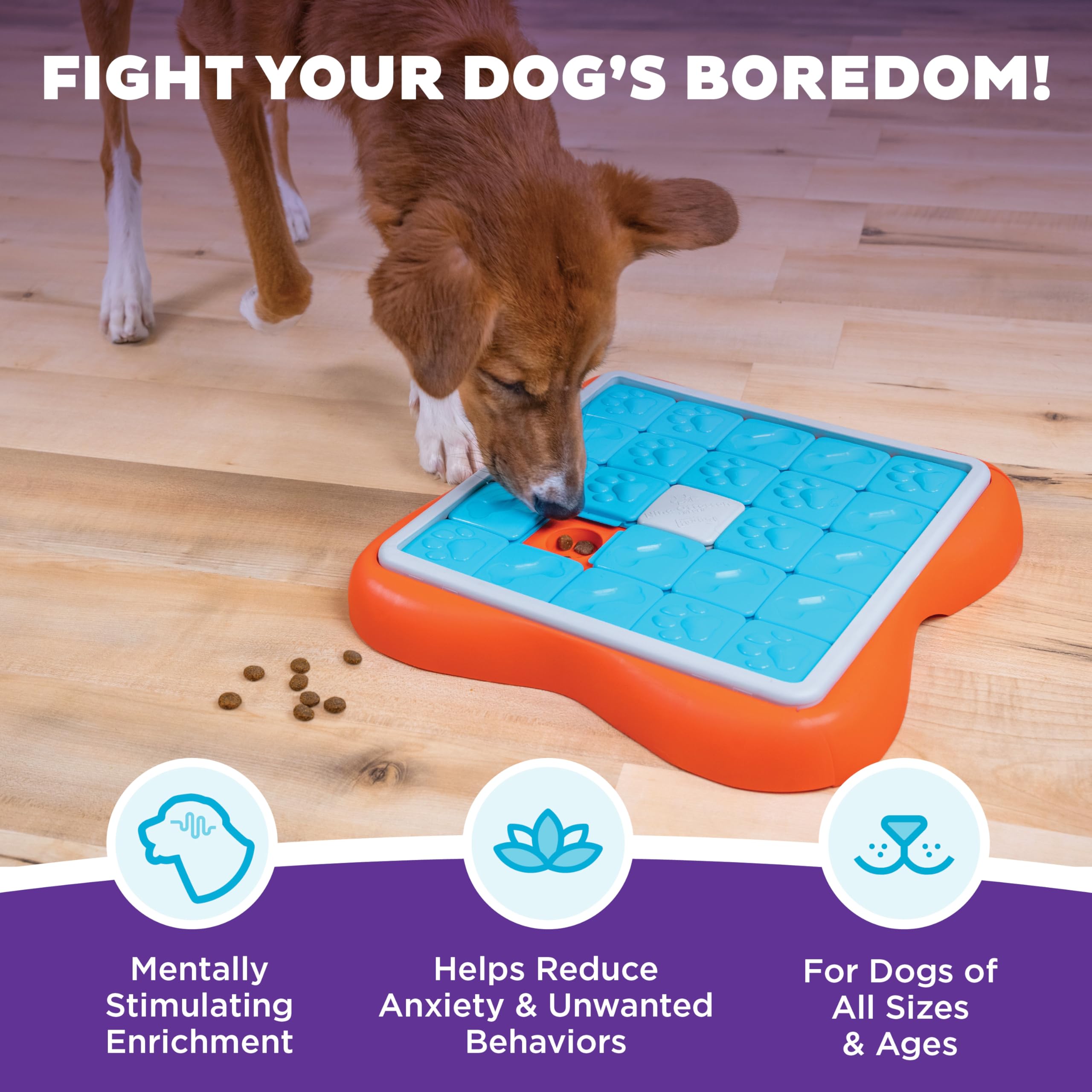 Outward Hound Nina Ottosson Challenge Slider Interactive Treat Puzzle Dog Toy - Level 3 | Large 2