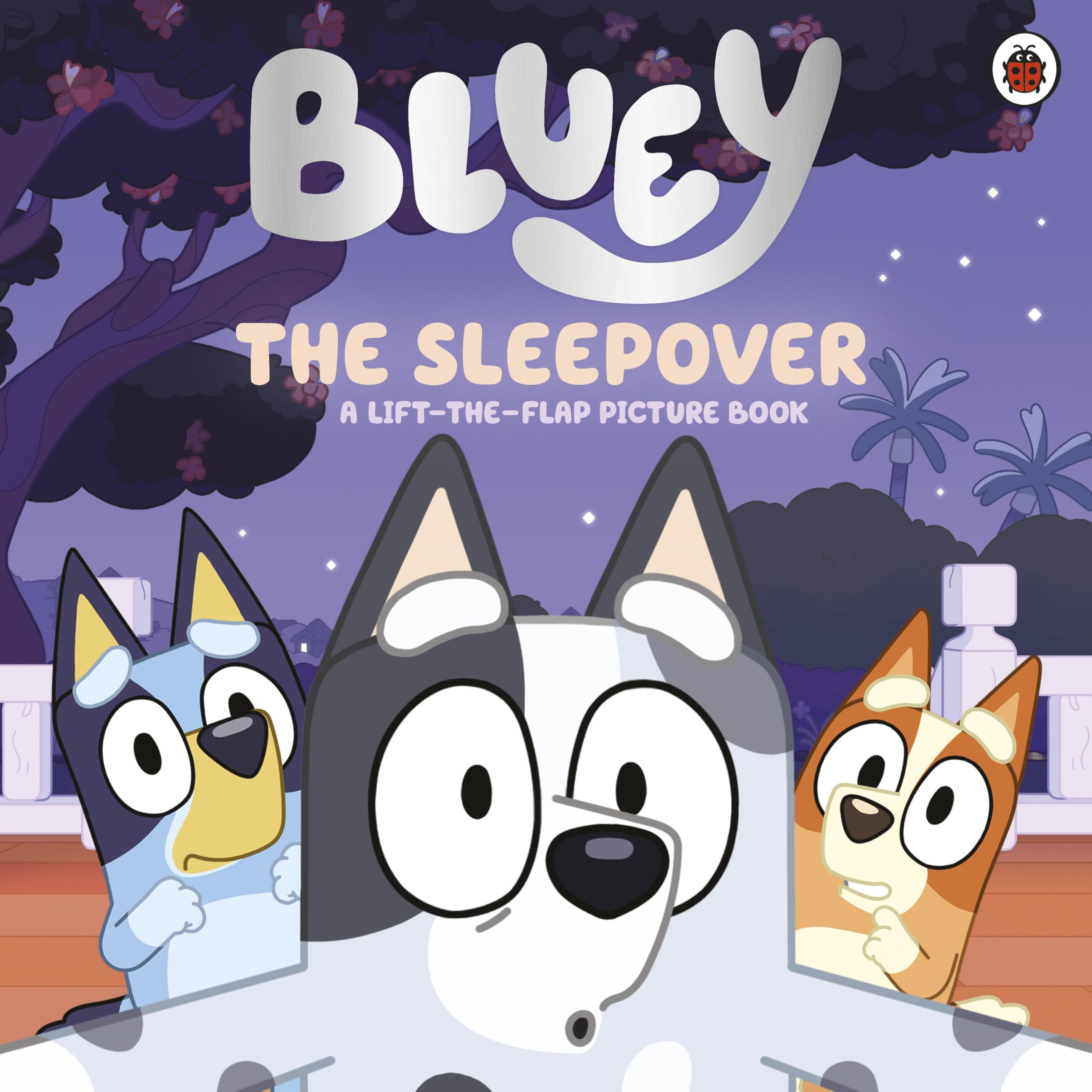 Ladybird Bluey: The Sleepover: A lift-the-flap picture book | Ages 3-6 1
