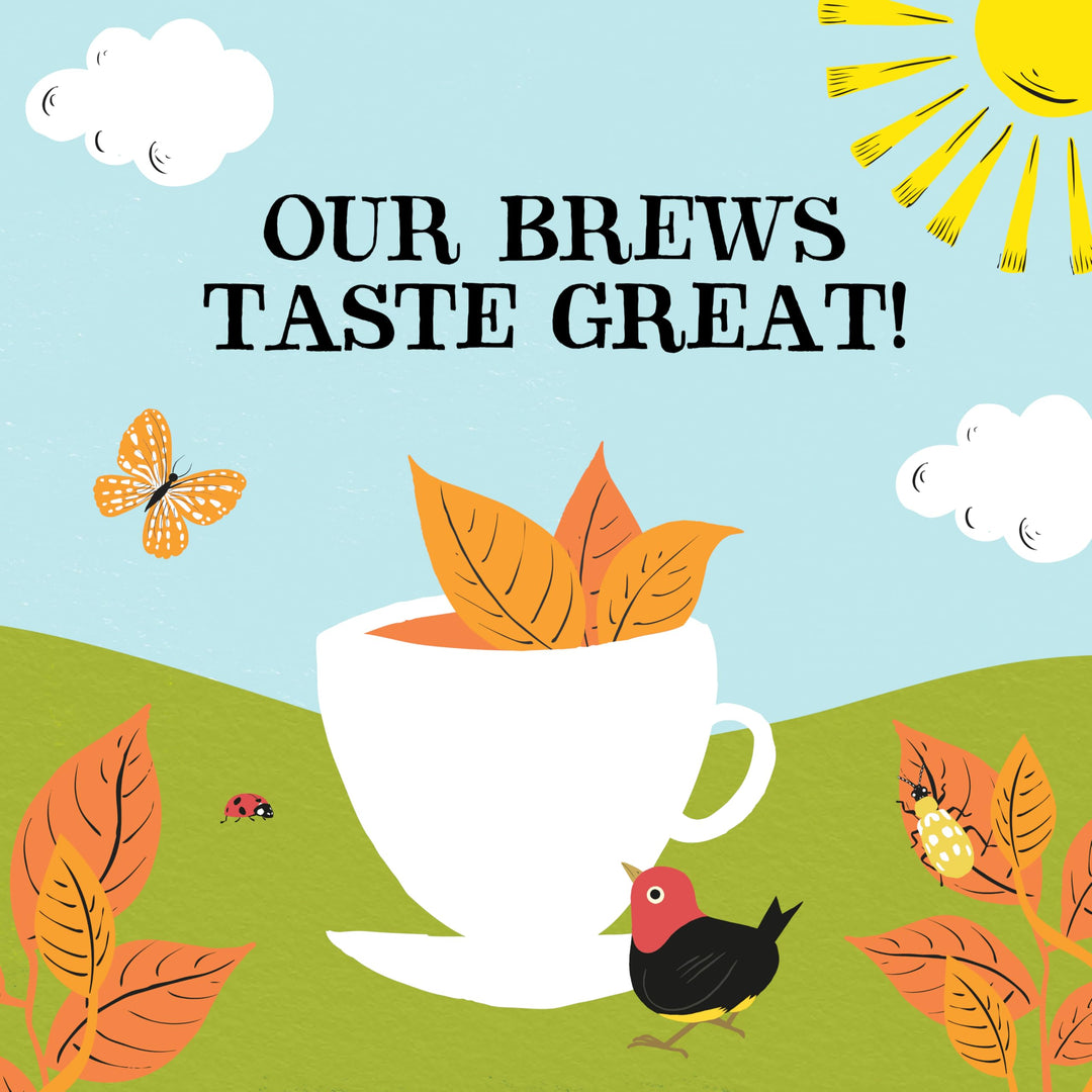 Clipper Fairtrade Everyday One Cup Teabags (440 Teabags)